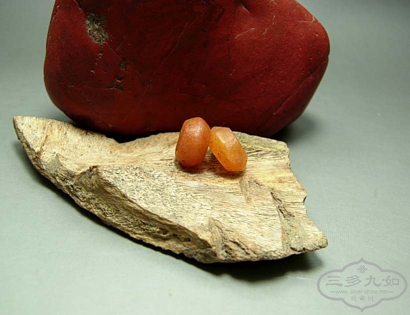 DSCN4818.jpg