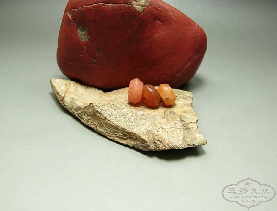 DSCN4995.jpg