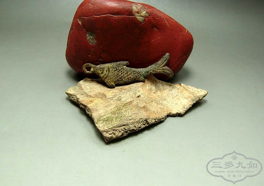 DSCN5120.jpg