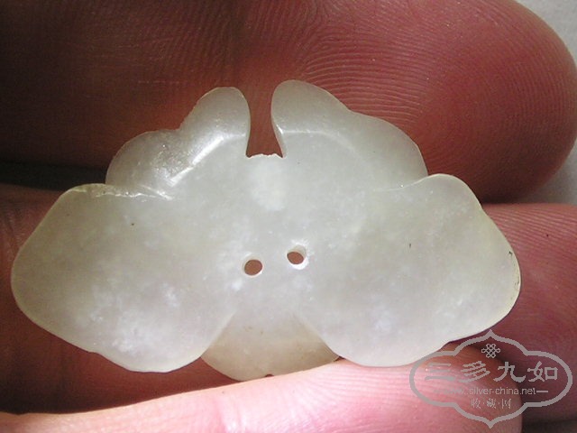 P1010028.JPG