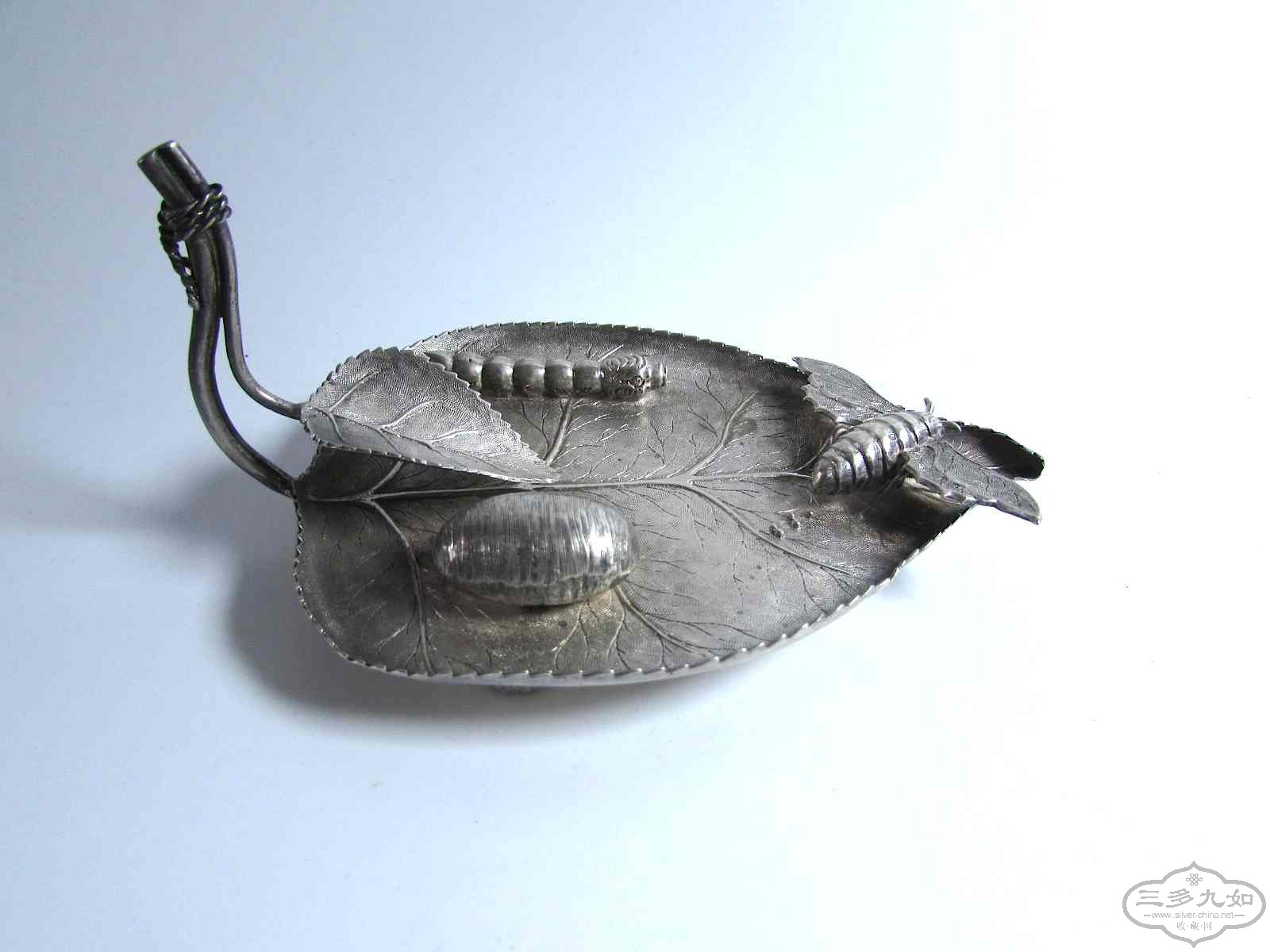 dish-1.jpg