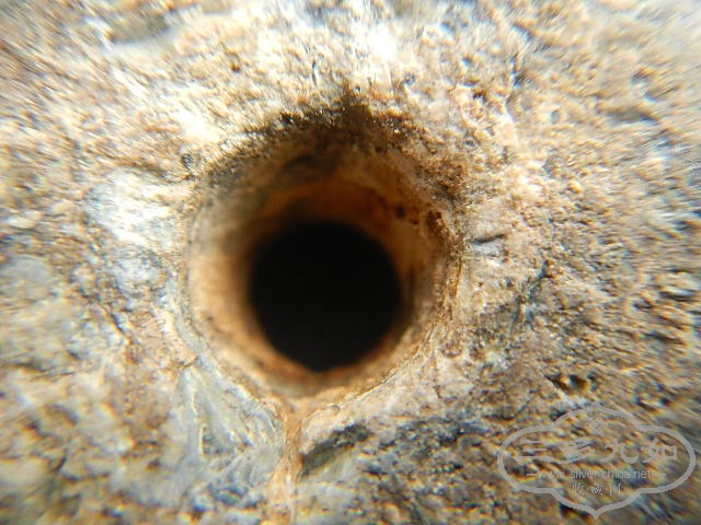 4.JPG