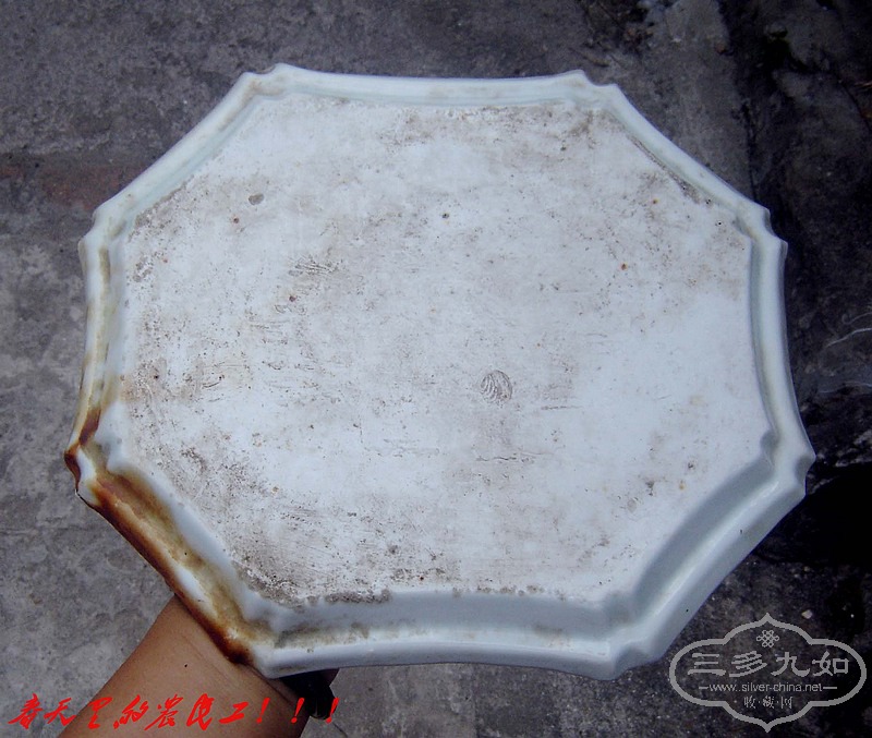 conew_dsc07802.jpg