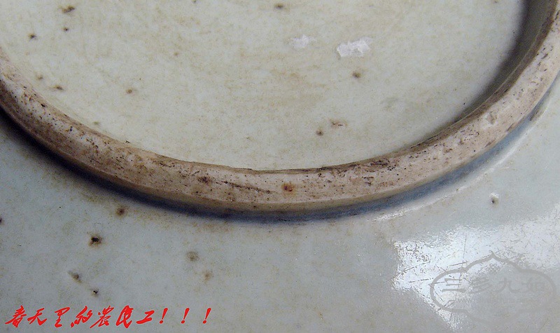conew_dsc07810.jpg