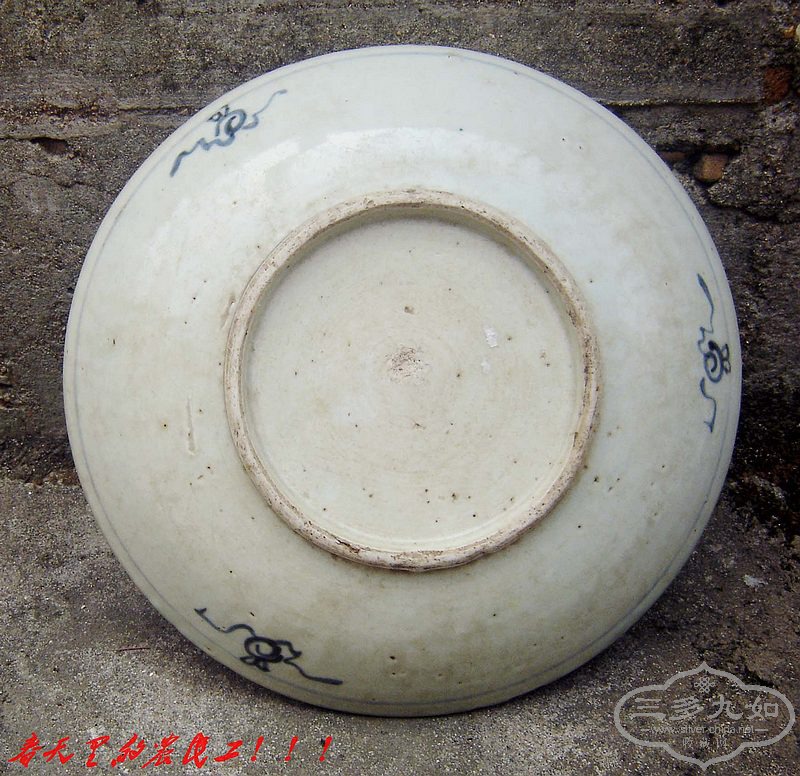 conew_dsc07807.jpg