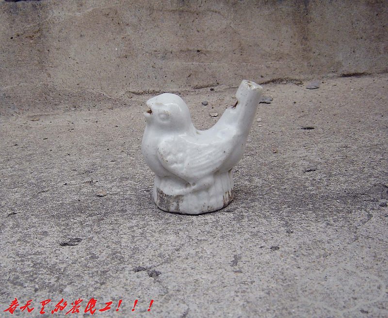 conew_dsc07912.jpg