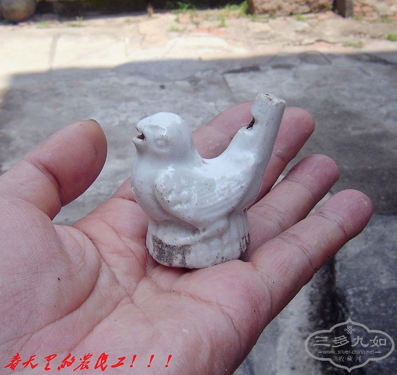 conew_dsc07913.jpg