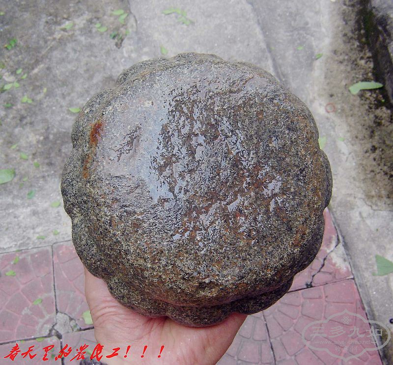 conew_dsc07943.jpg
