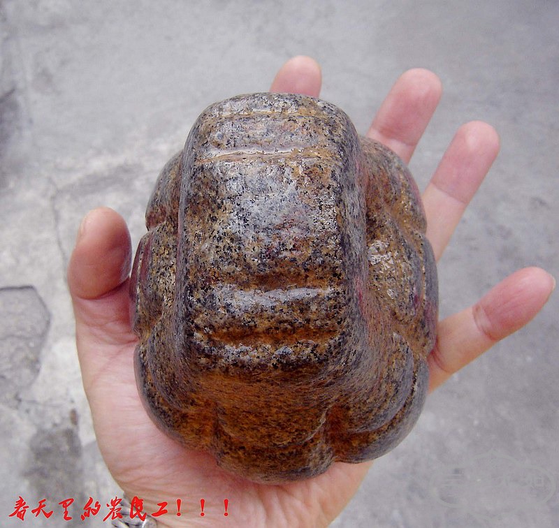 conew_dsc08614.jpg