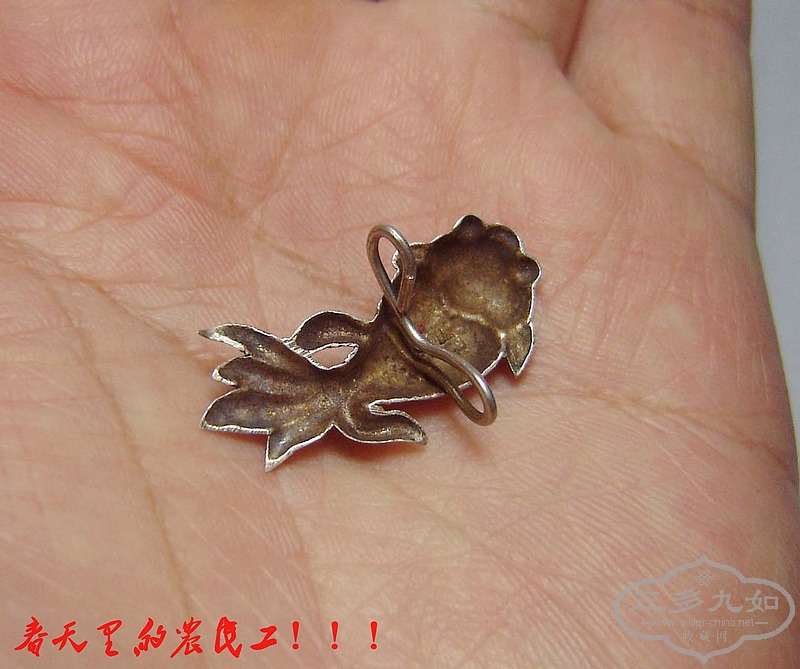conew_dsc09178.jpg