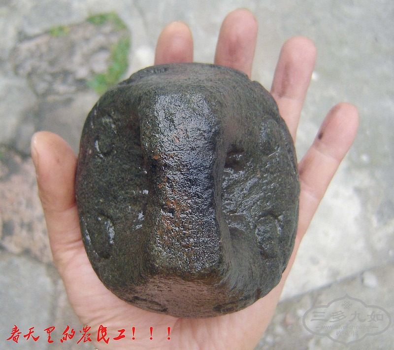 conew_dsc01223.jpg