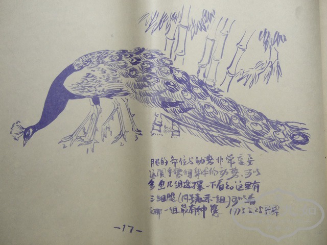 008.jpg