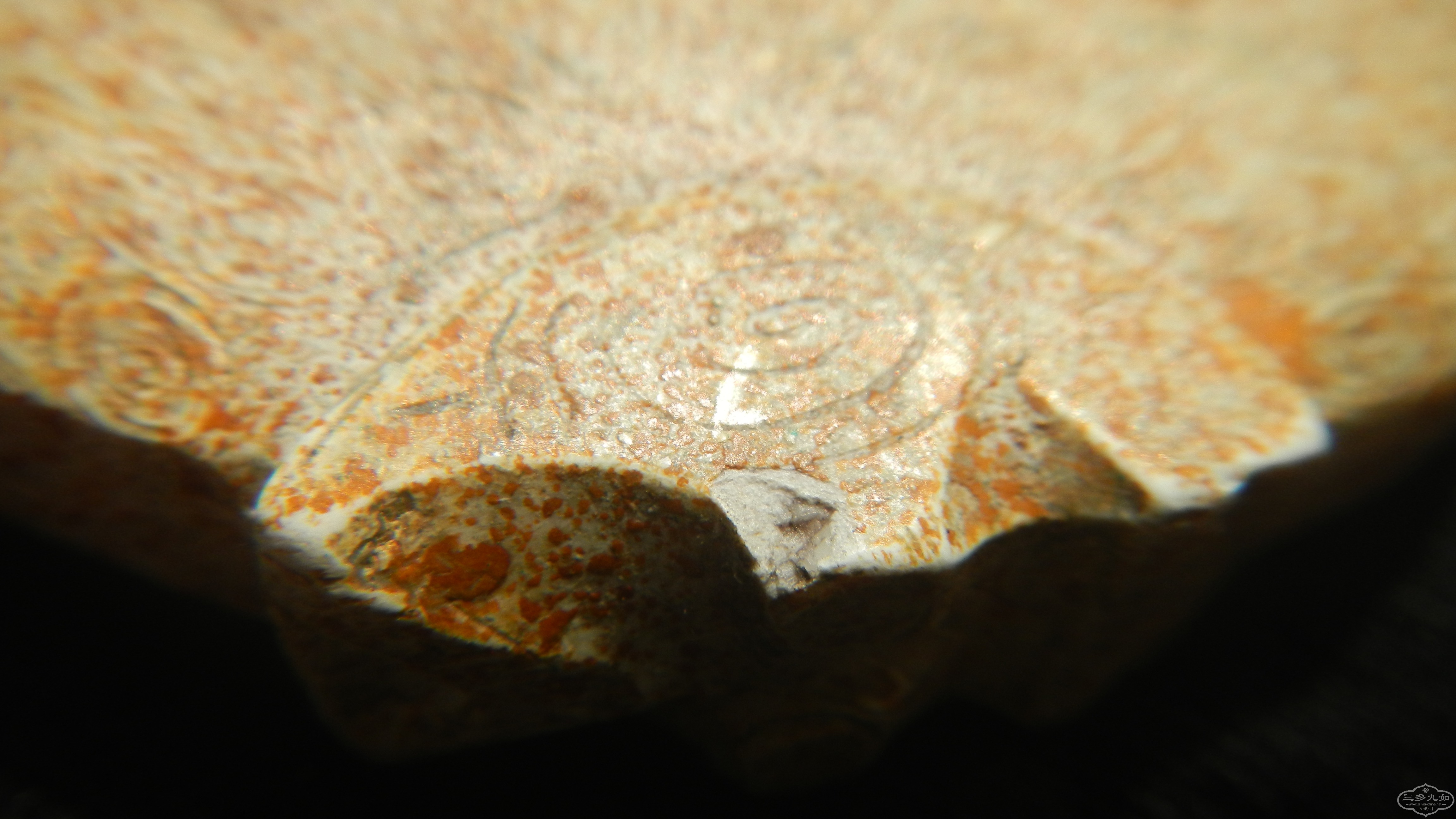 DSCN7714.JPG
