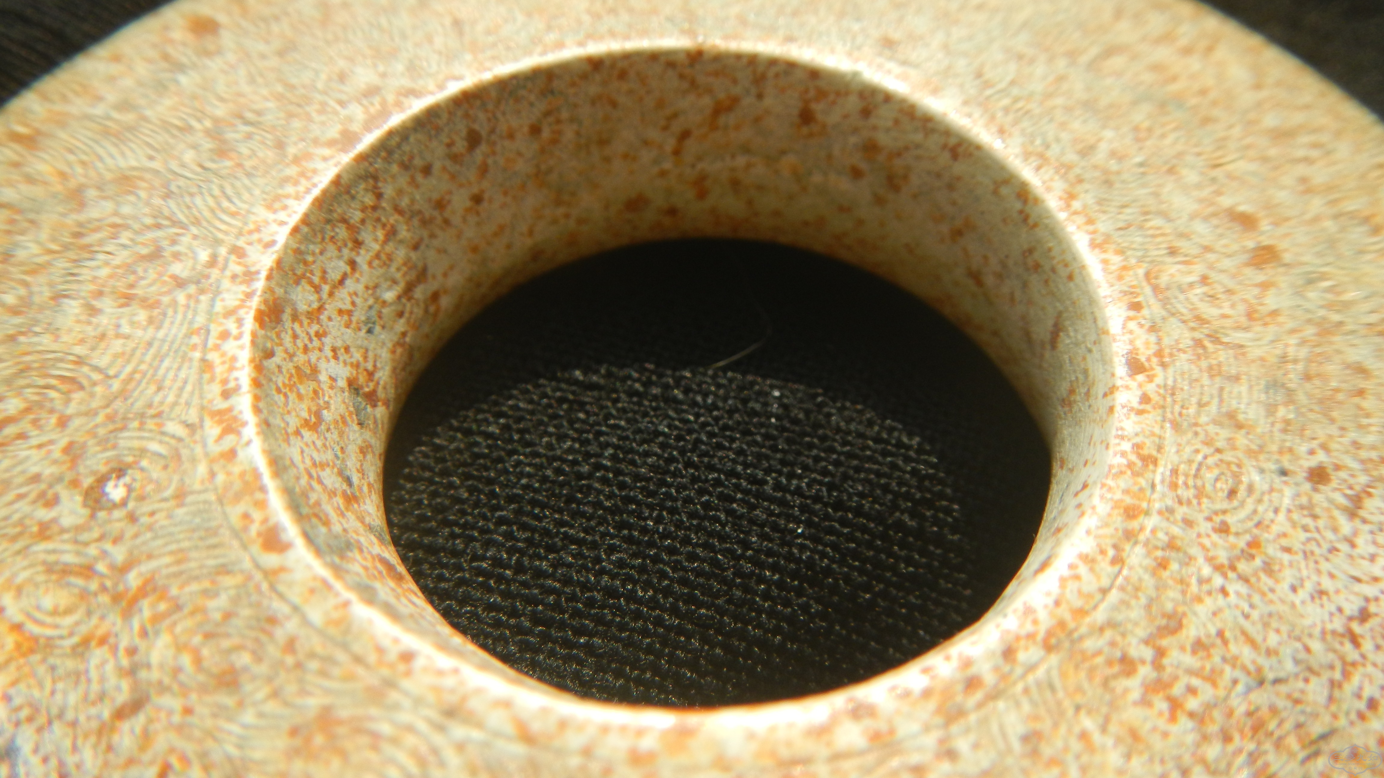 DSCN7724.JPG