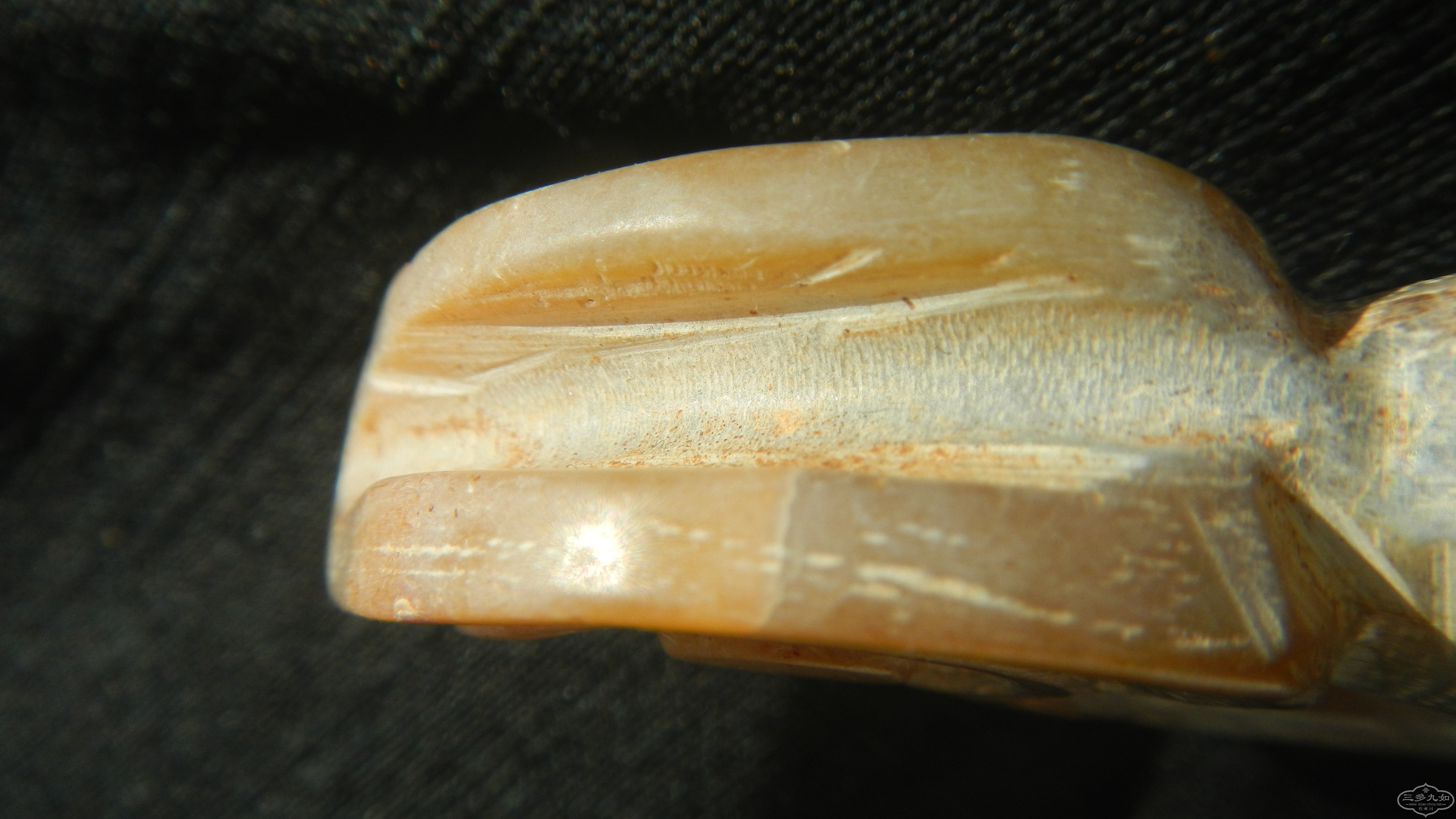 DSCN7593.JPG