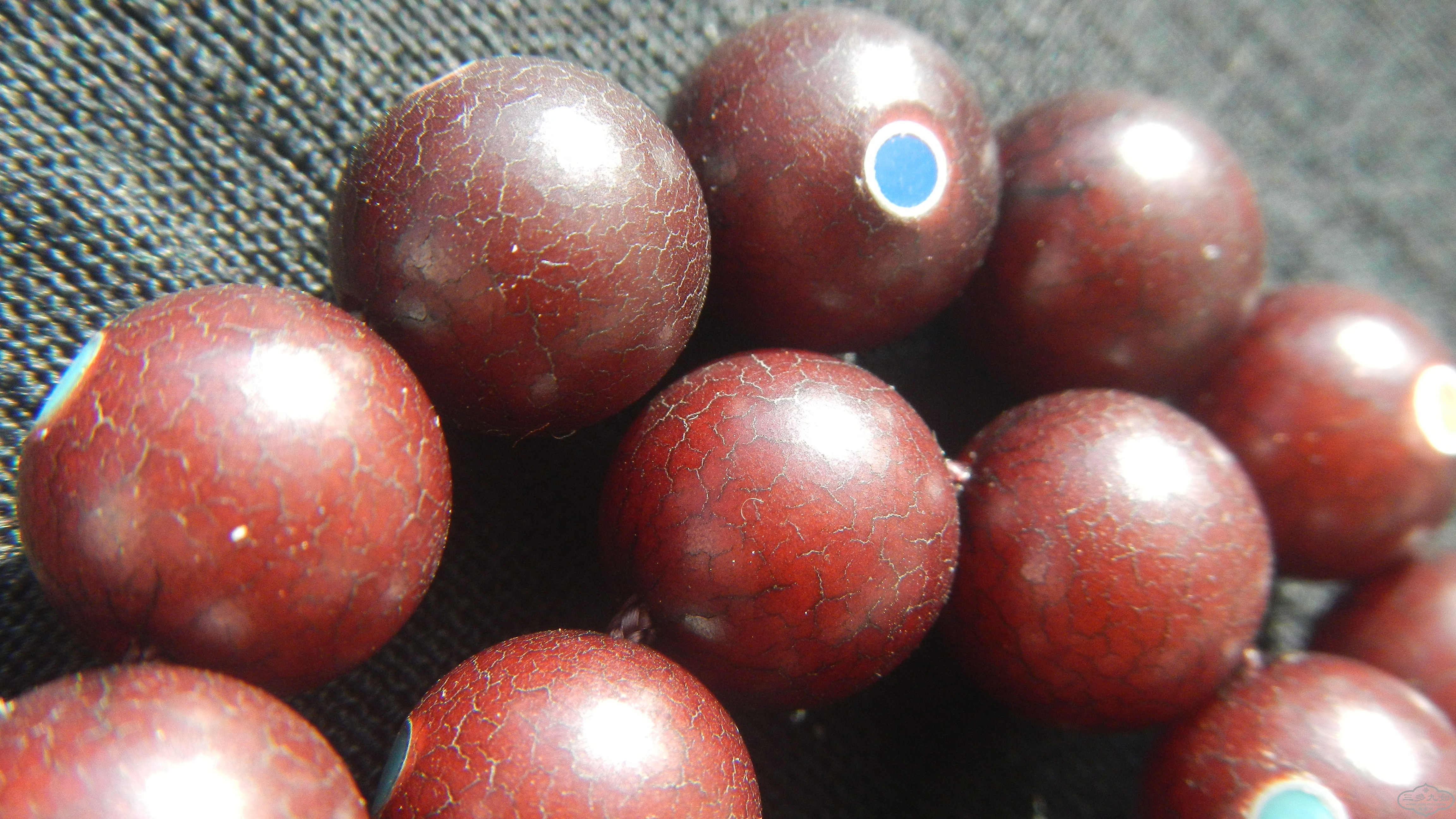 DSCN5854.JPG