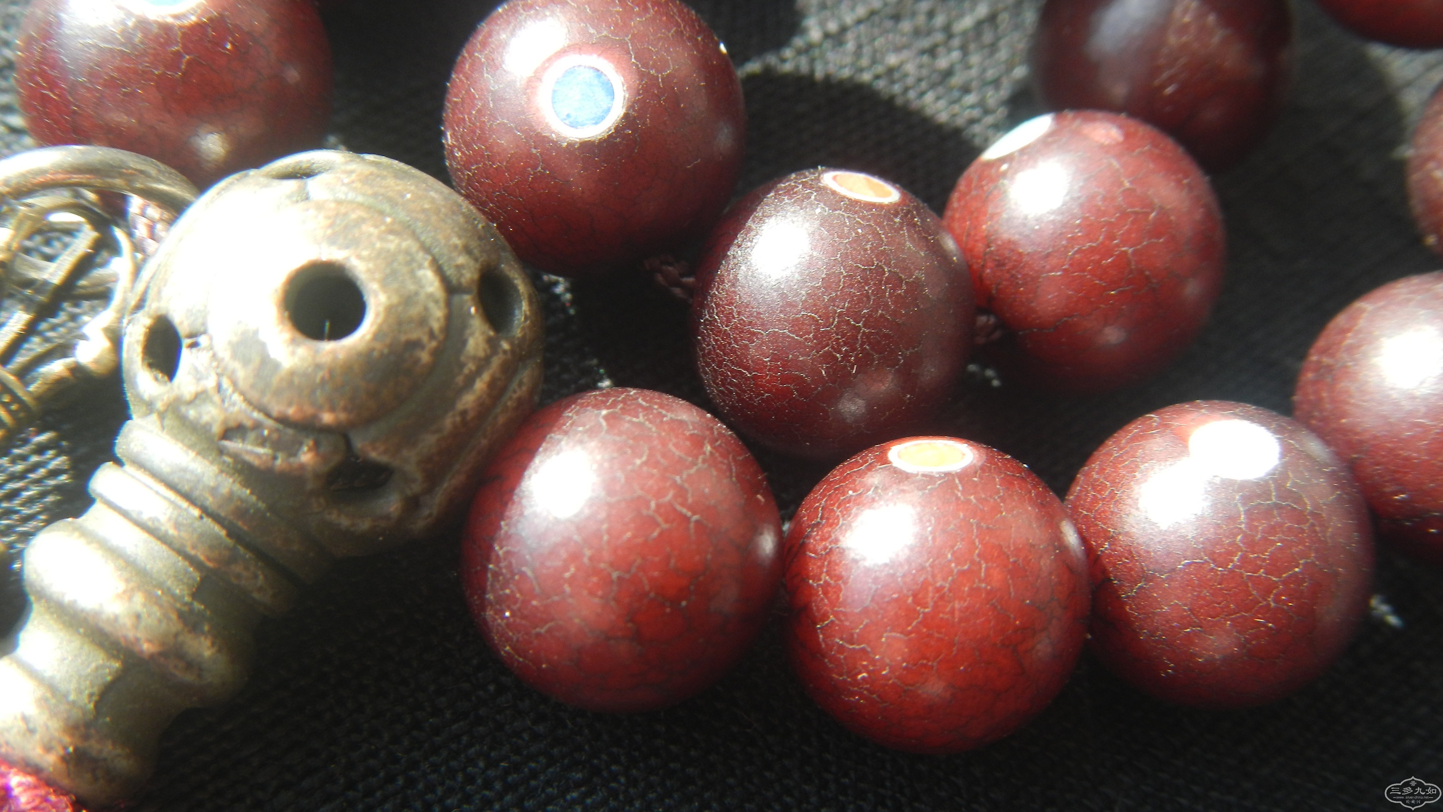 DSCN5870.JPG