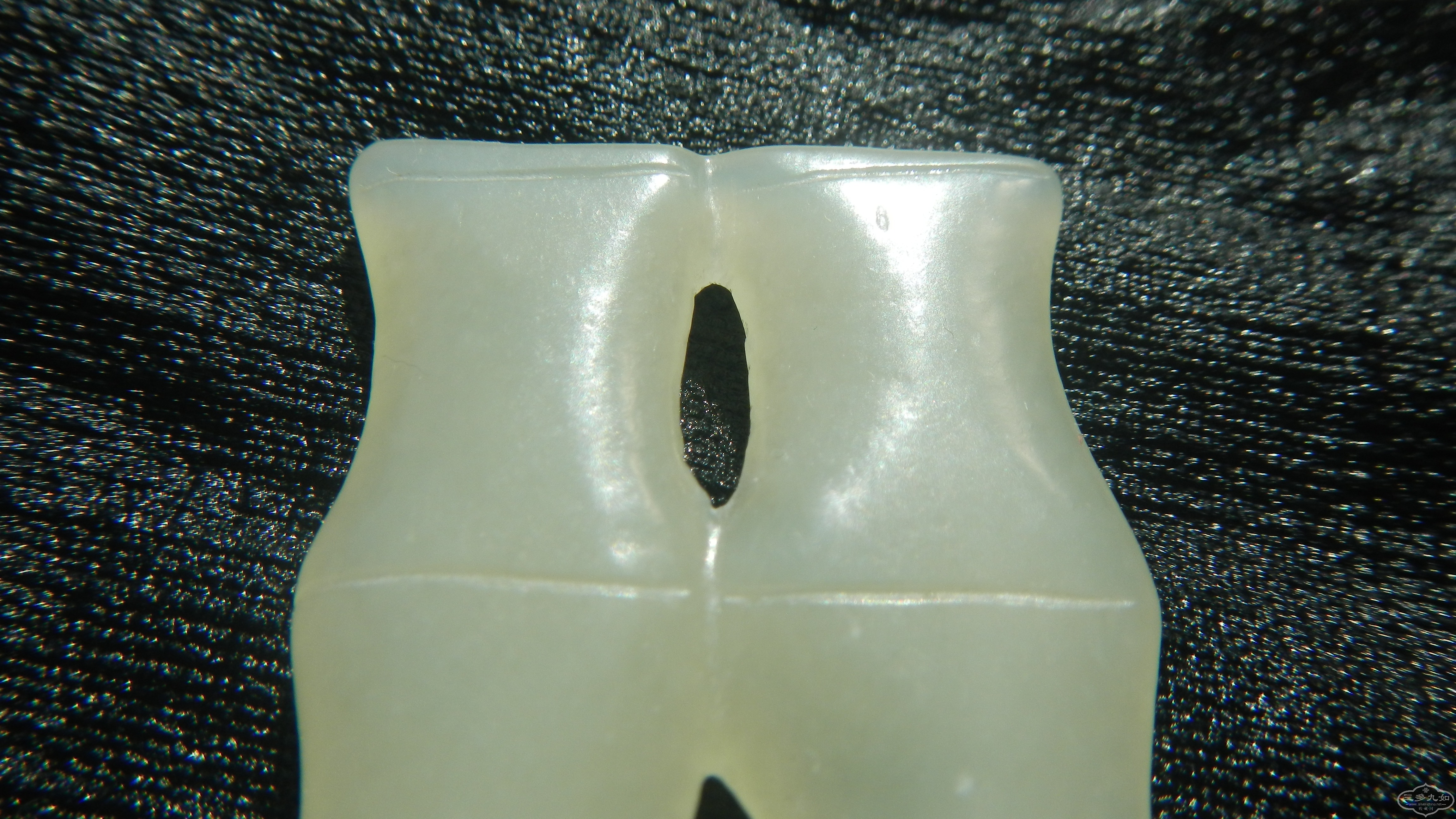 DSCN7868.JPG