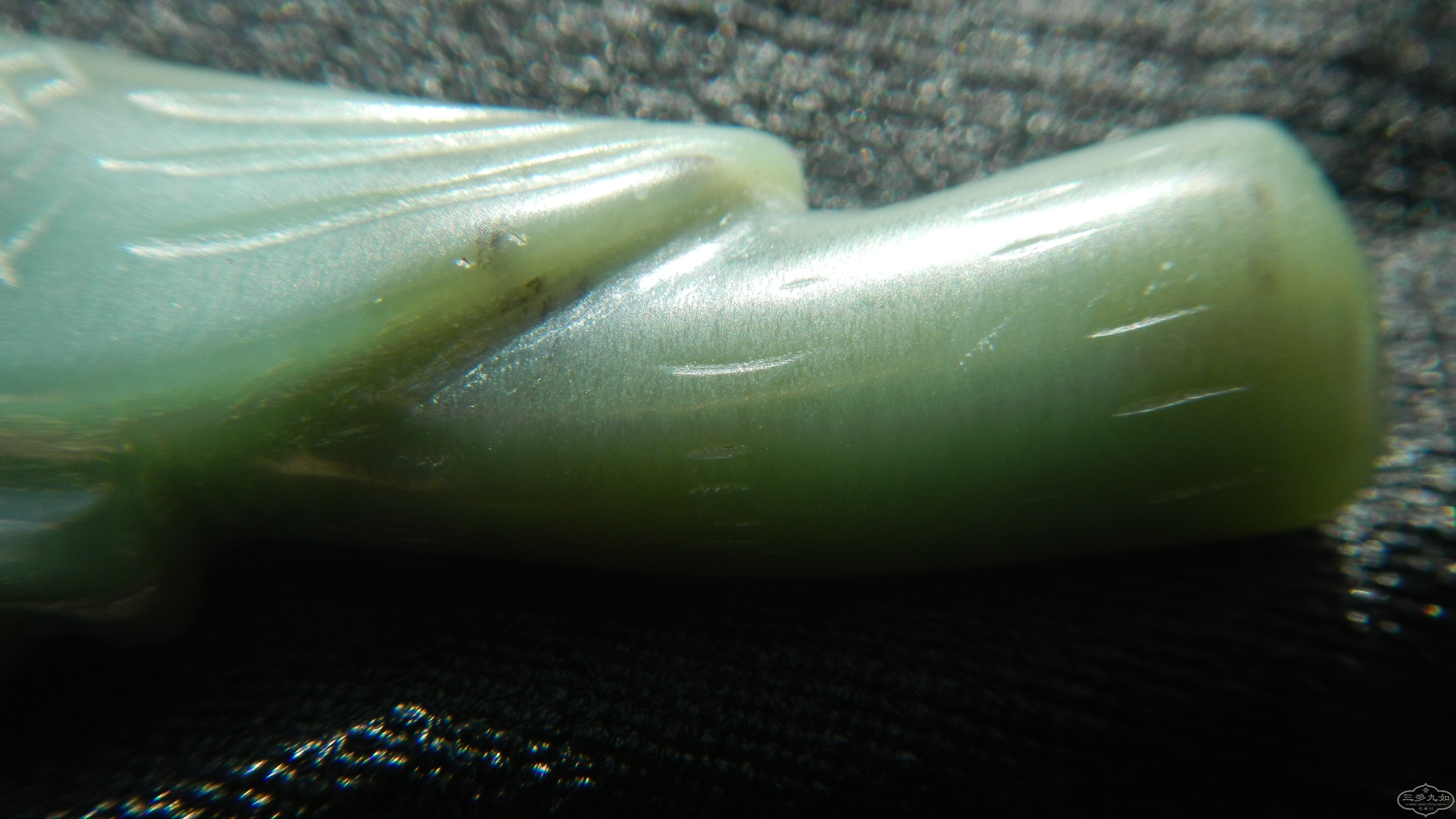 DSCN7902.JPG