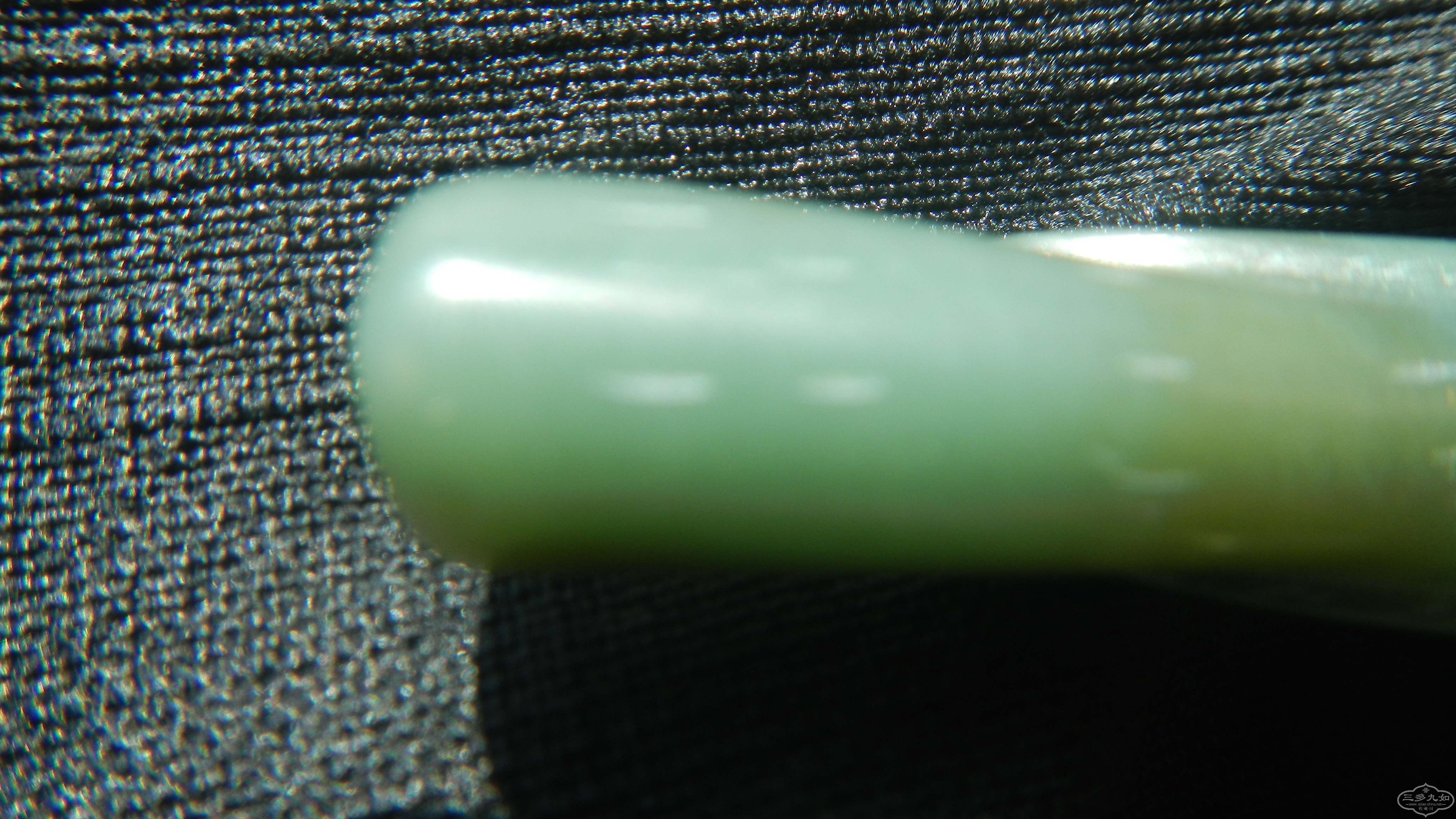 DSCN7913.JPG