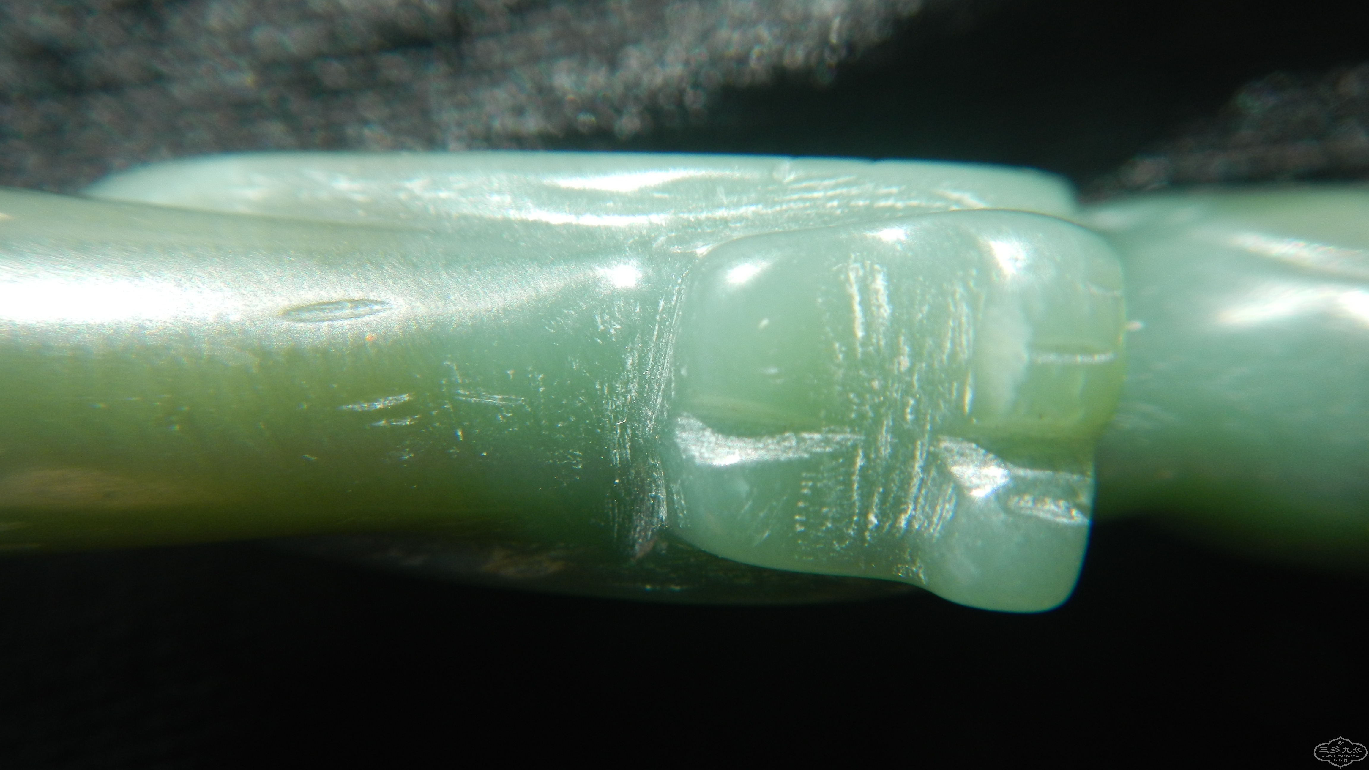 DSCN7914.JPG