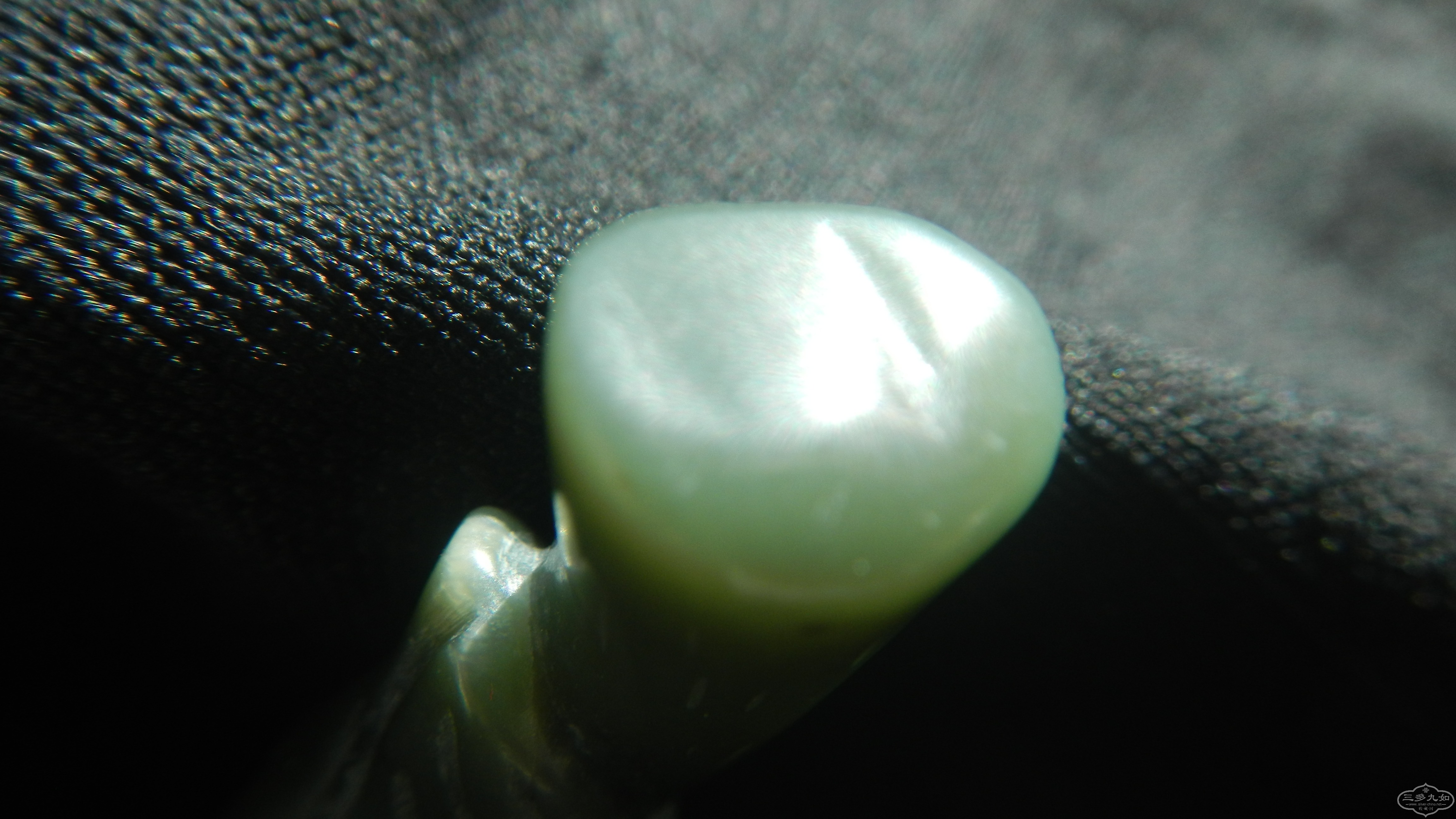 DSCN7916.JPG
