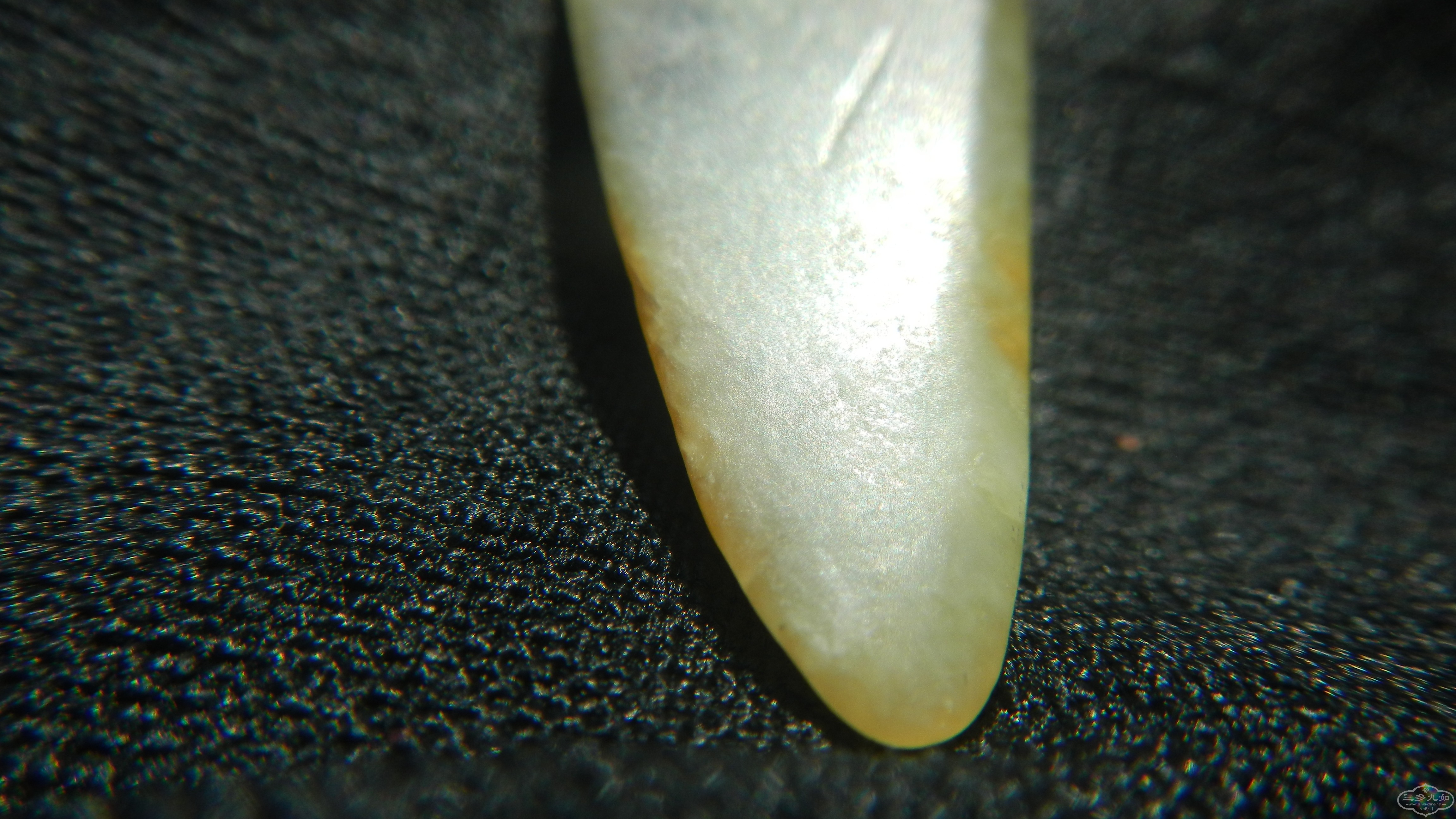 DSCN7923.JPG
