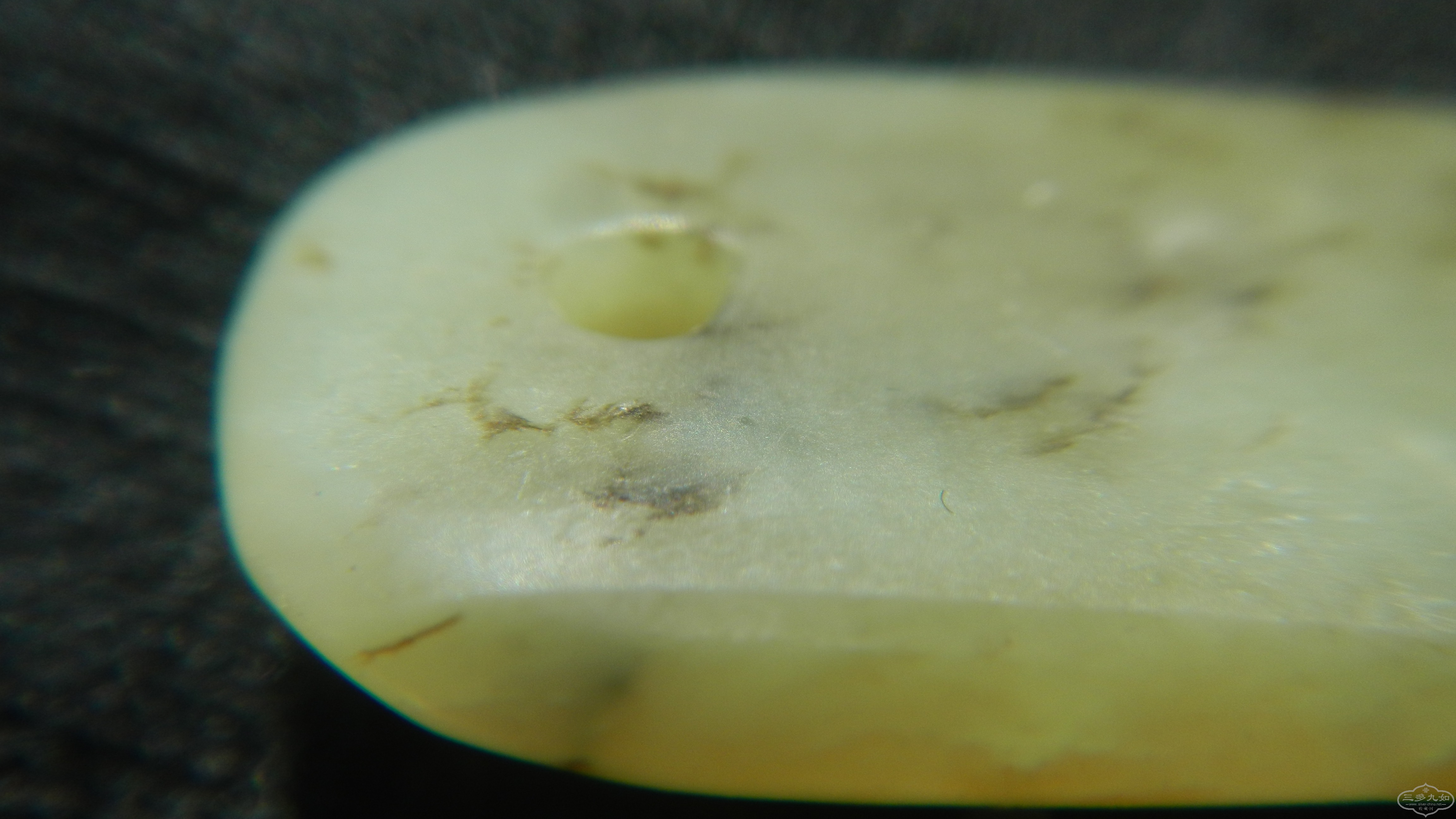 DSCN7930.JPG