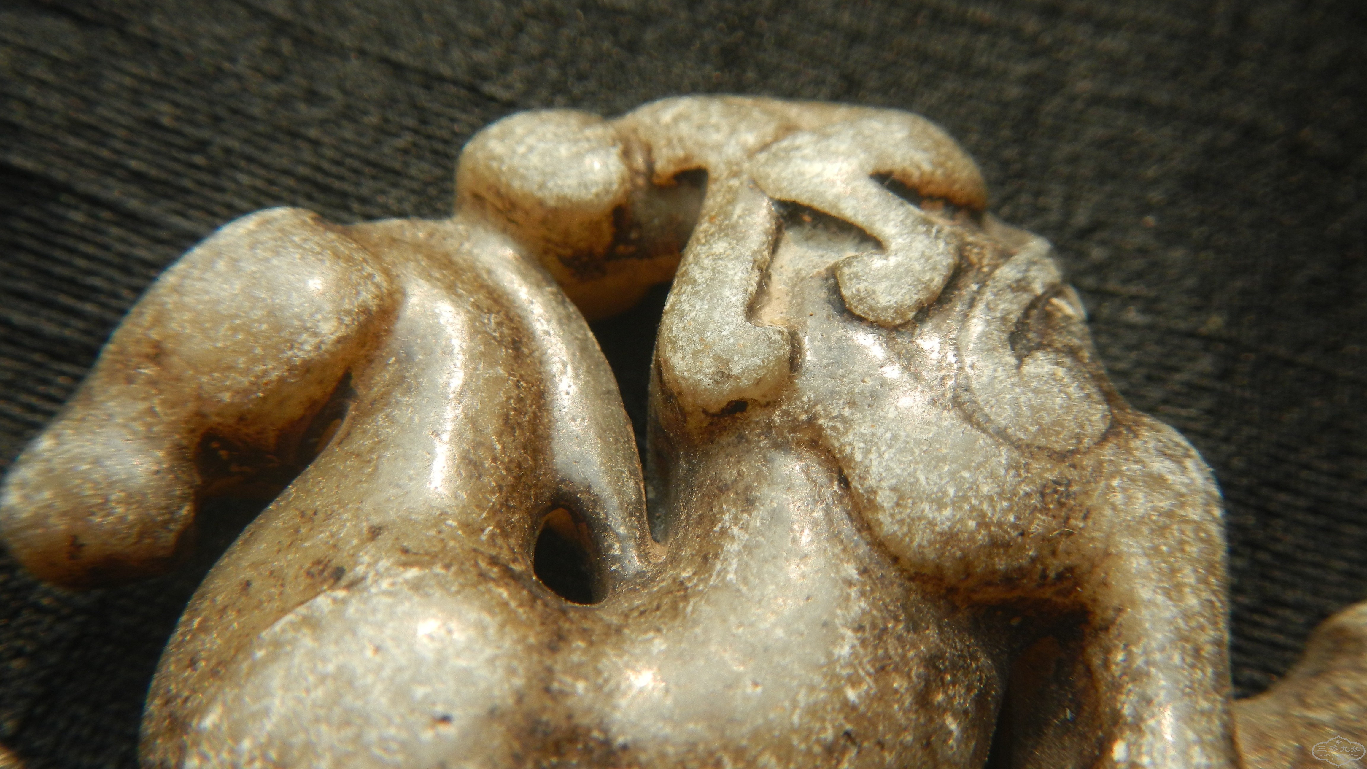 DSCN7978.JPG