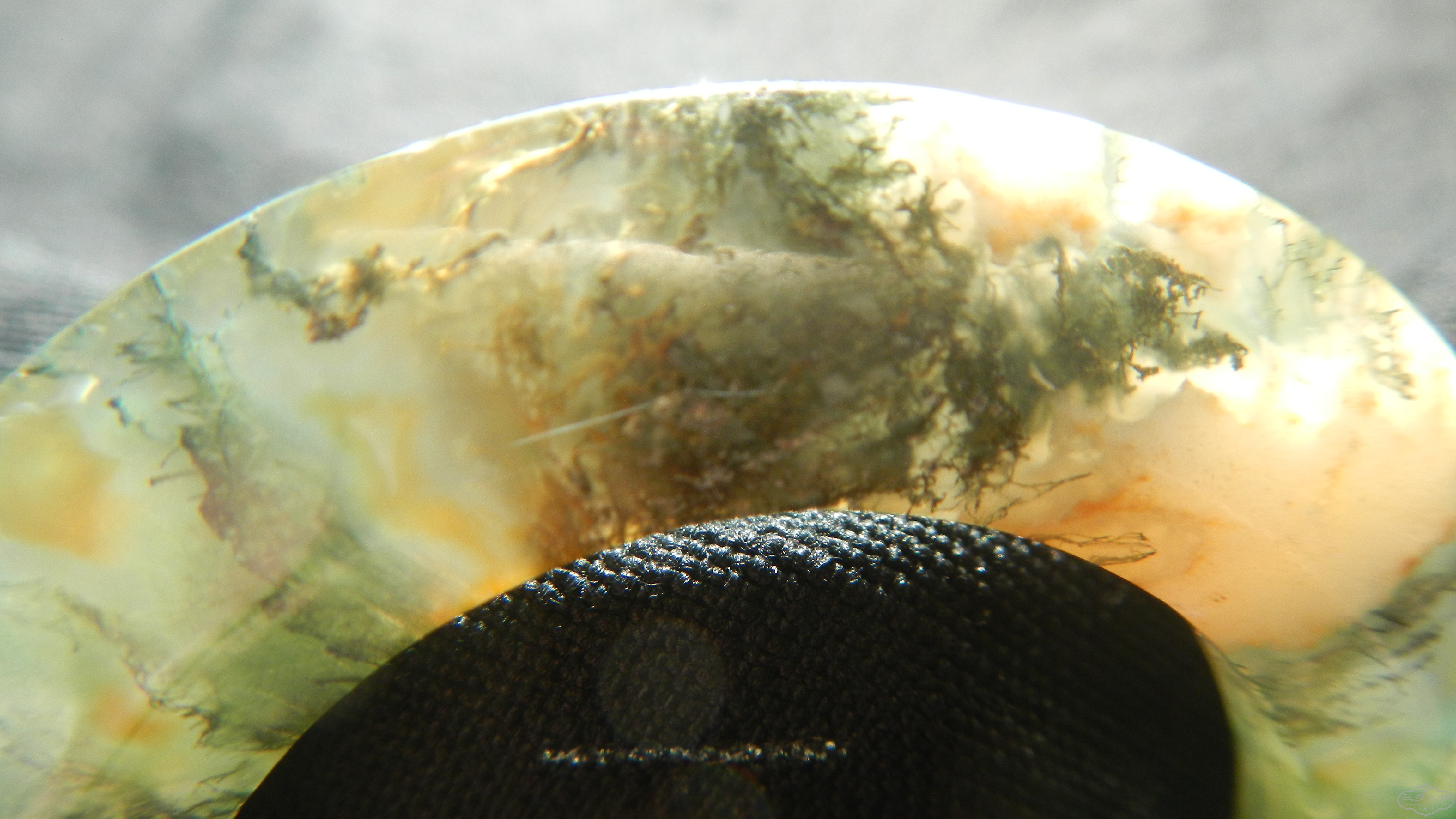 DSCN8284.JPG