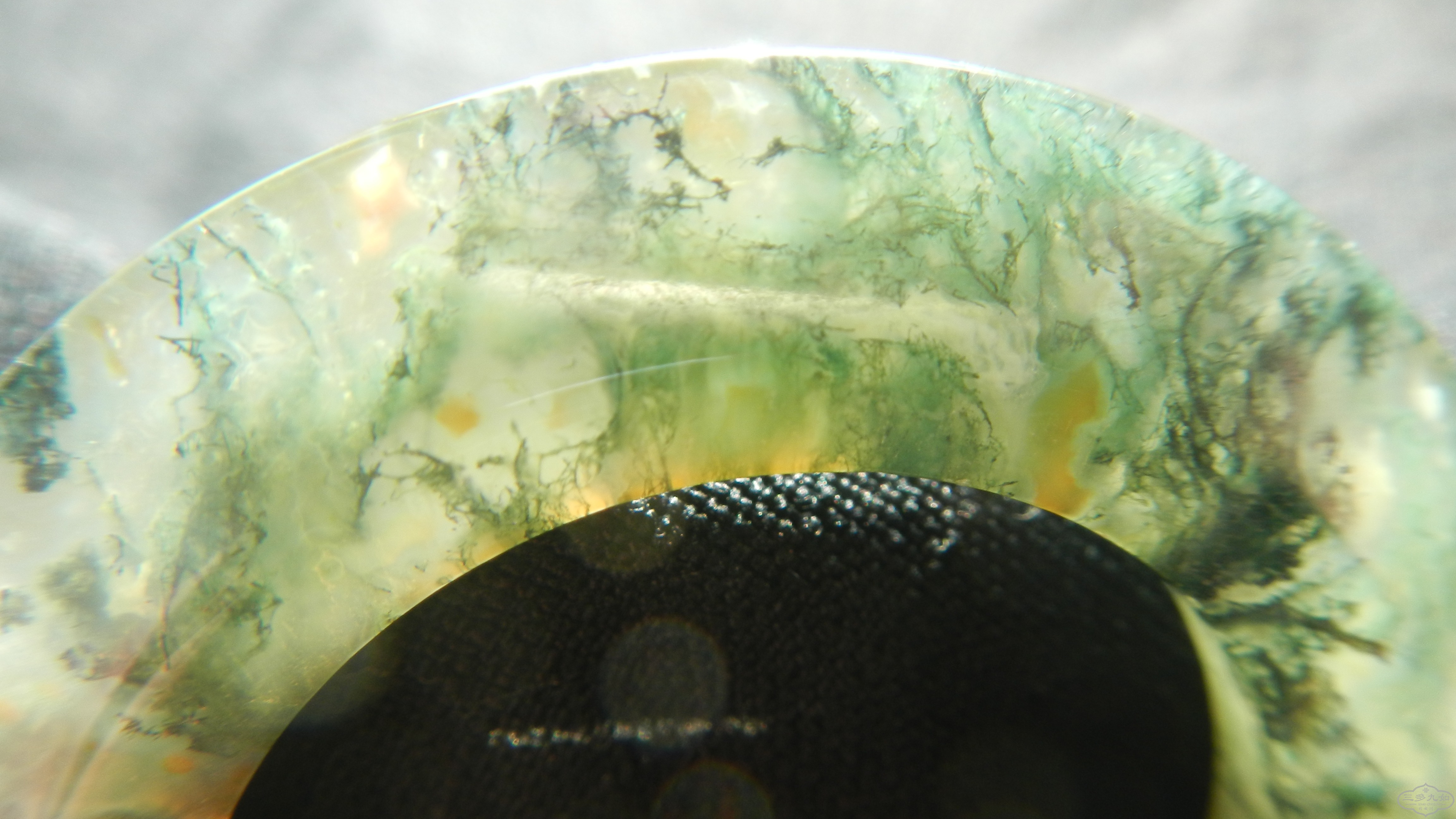 DSCN8290.JPG