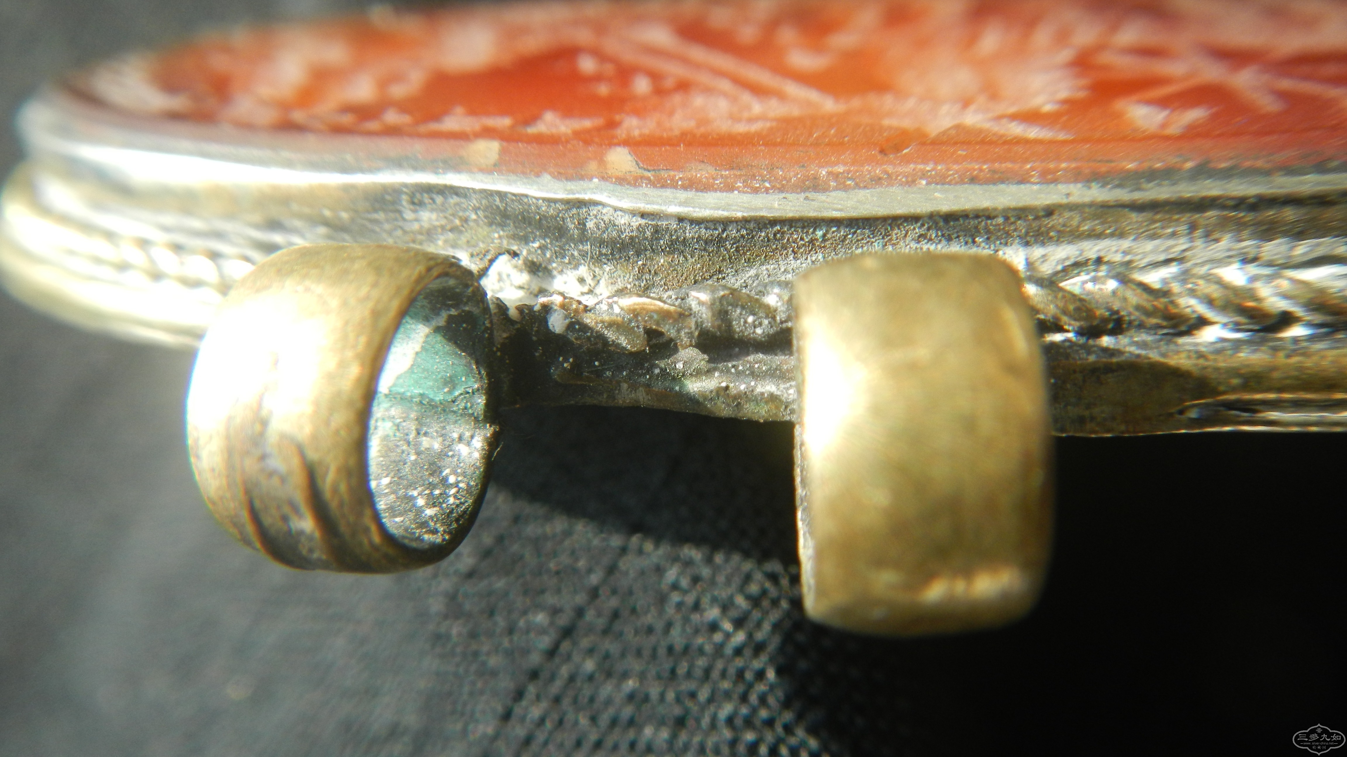 DSCN8308.JPG