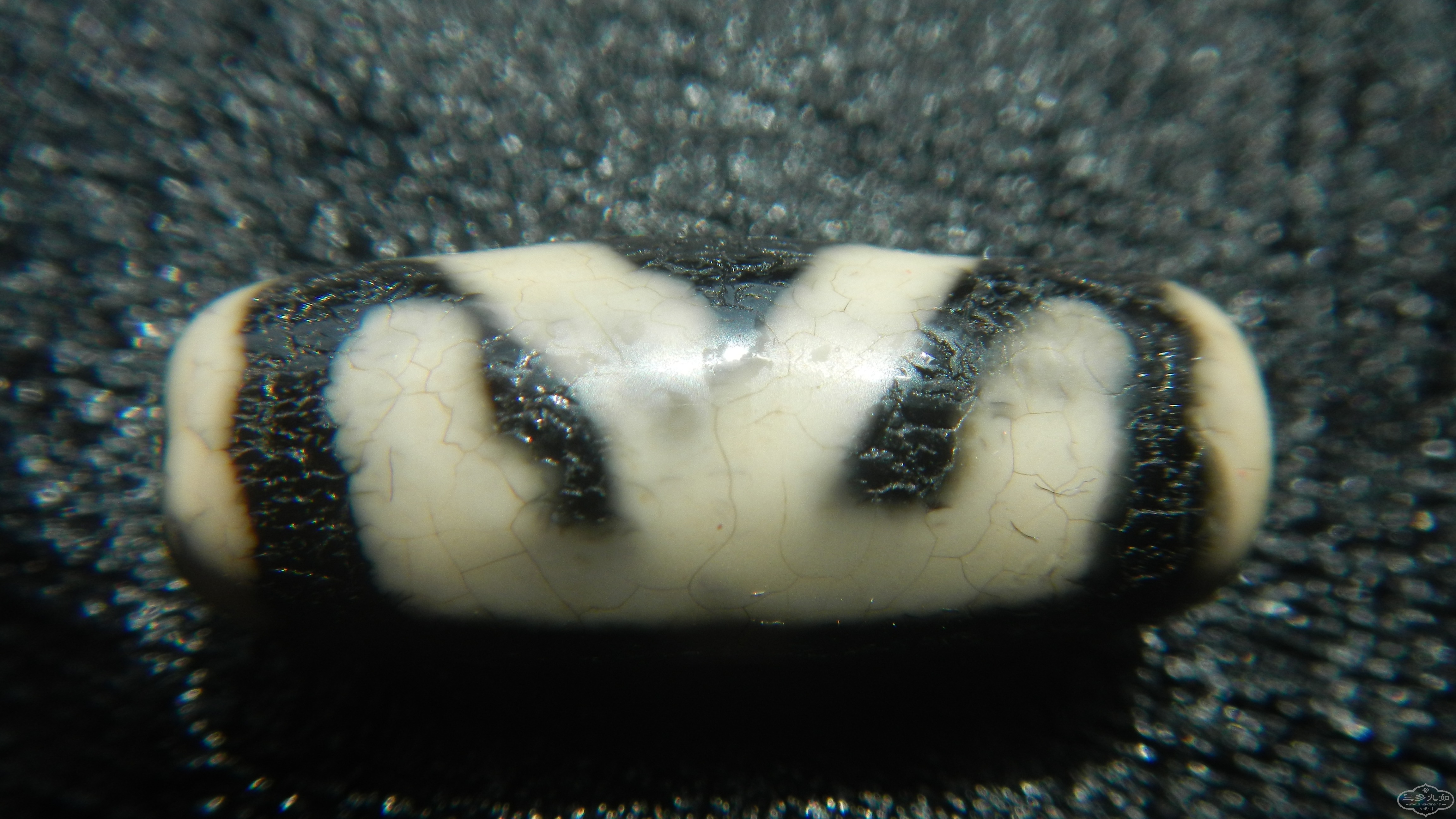 DSCN9922.JPG