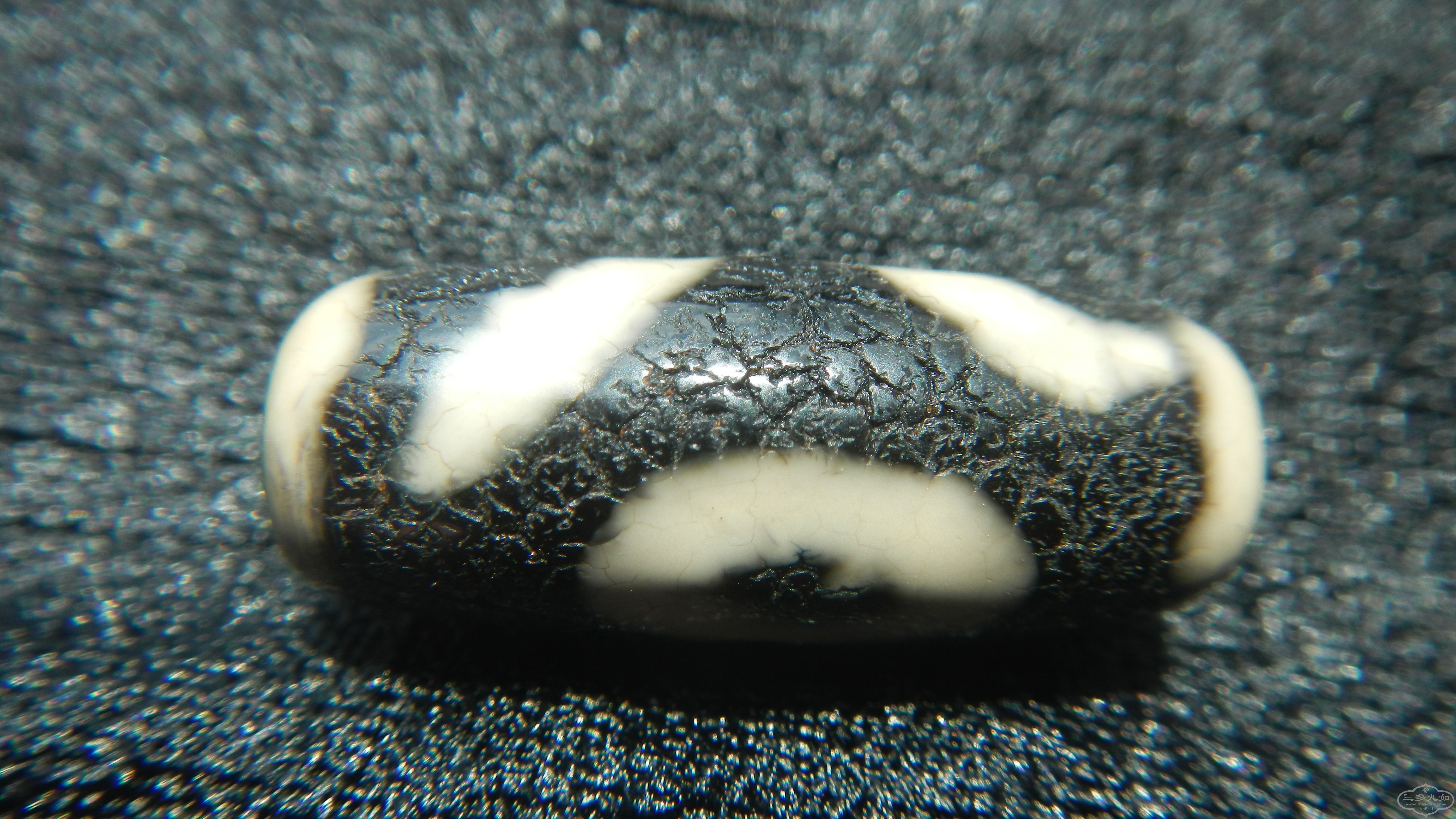 DSCN9933.JPG