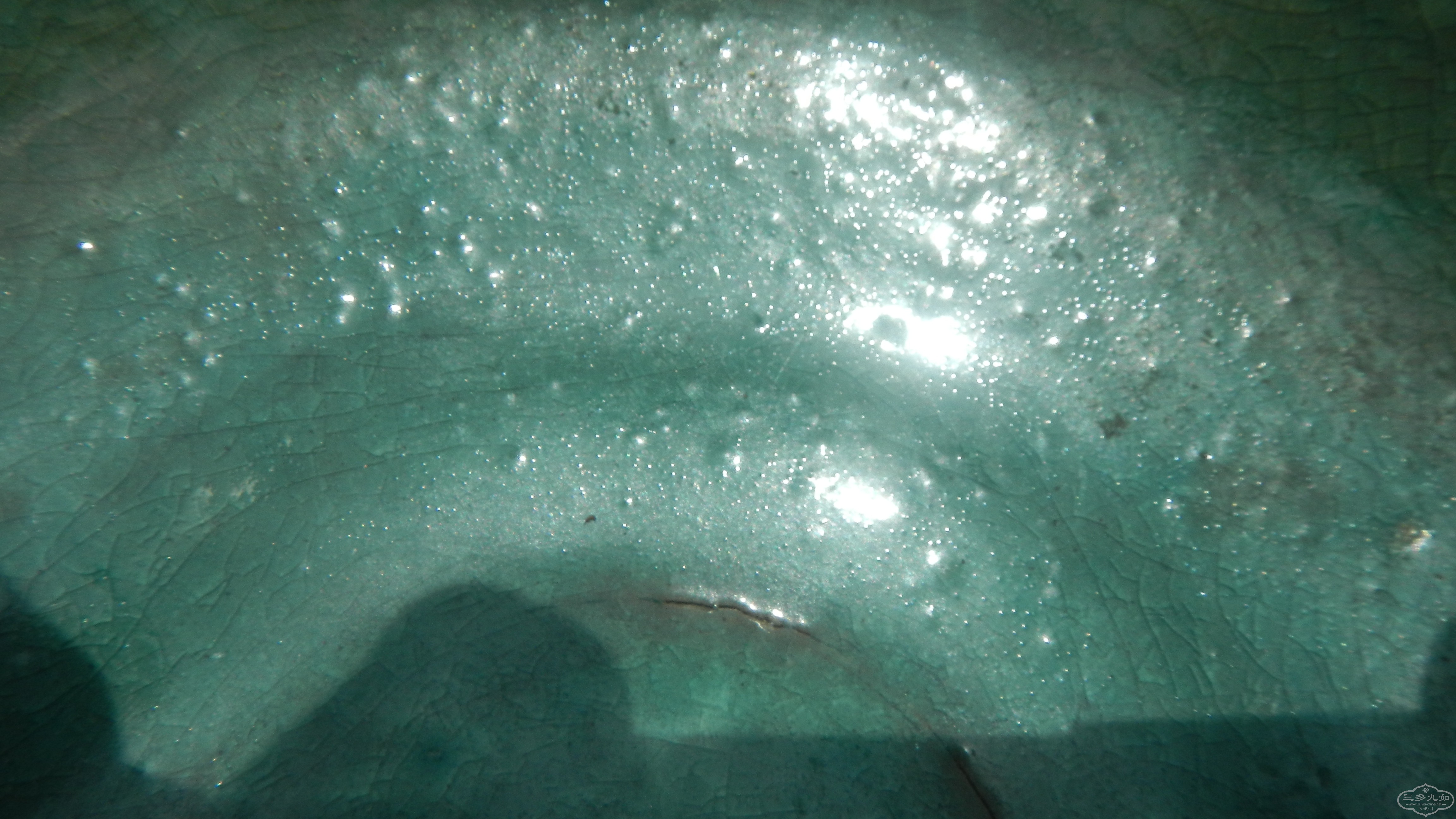 DSCN0297.JPG