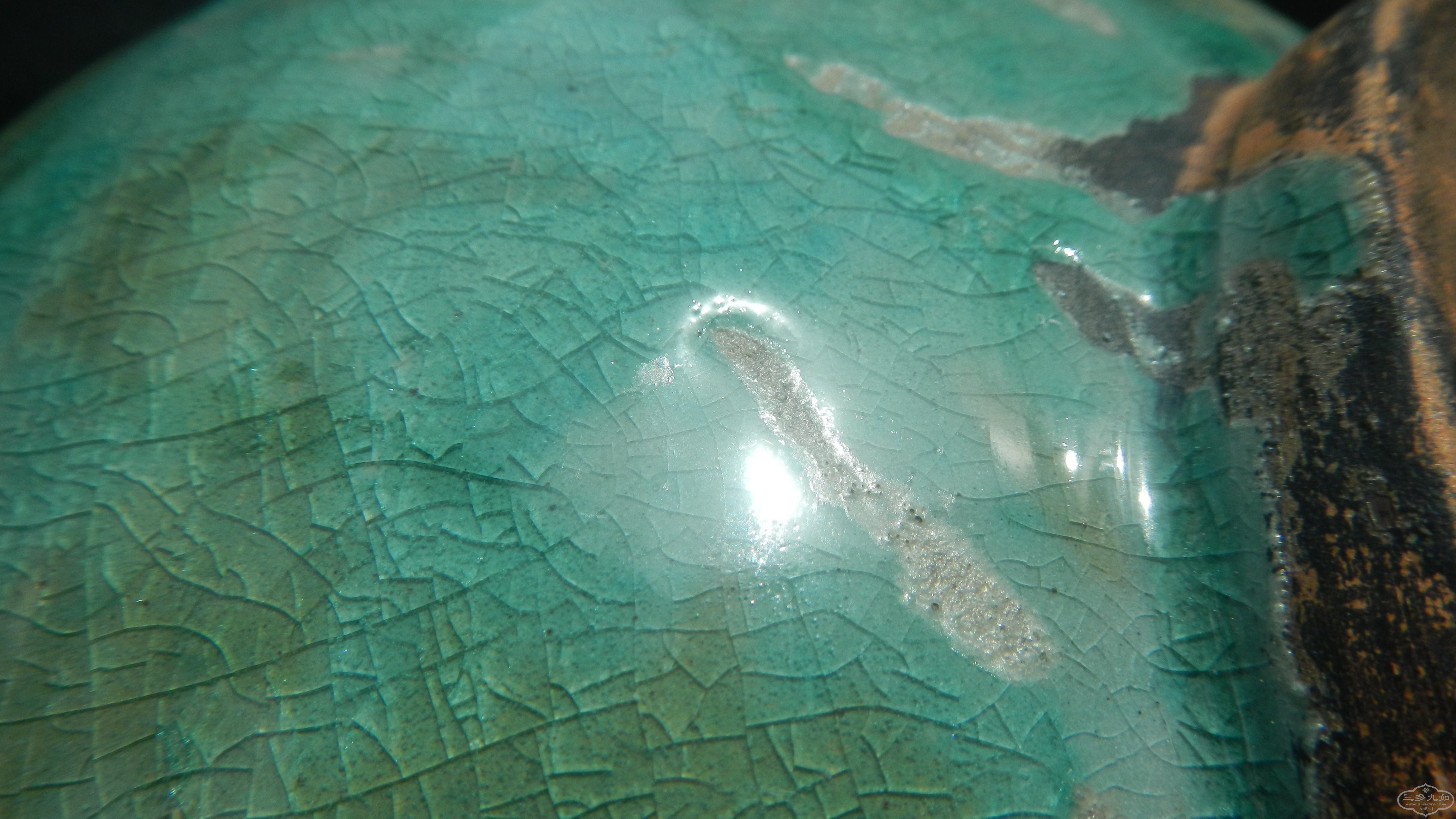DSCN0305.JPG