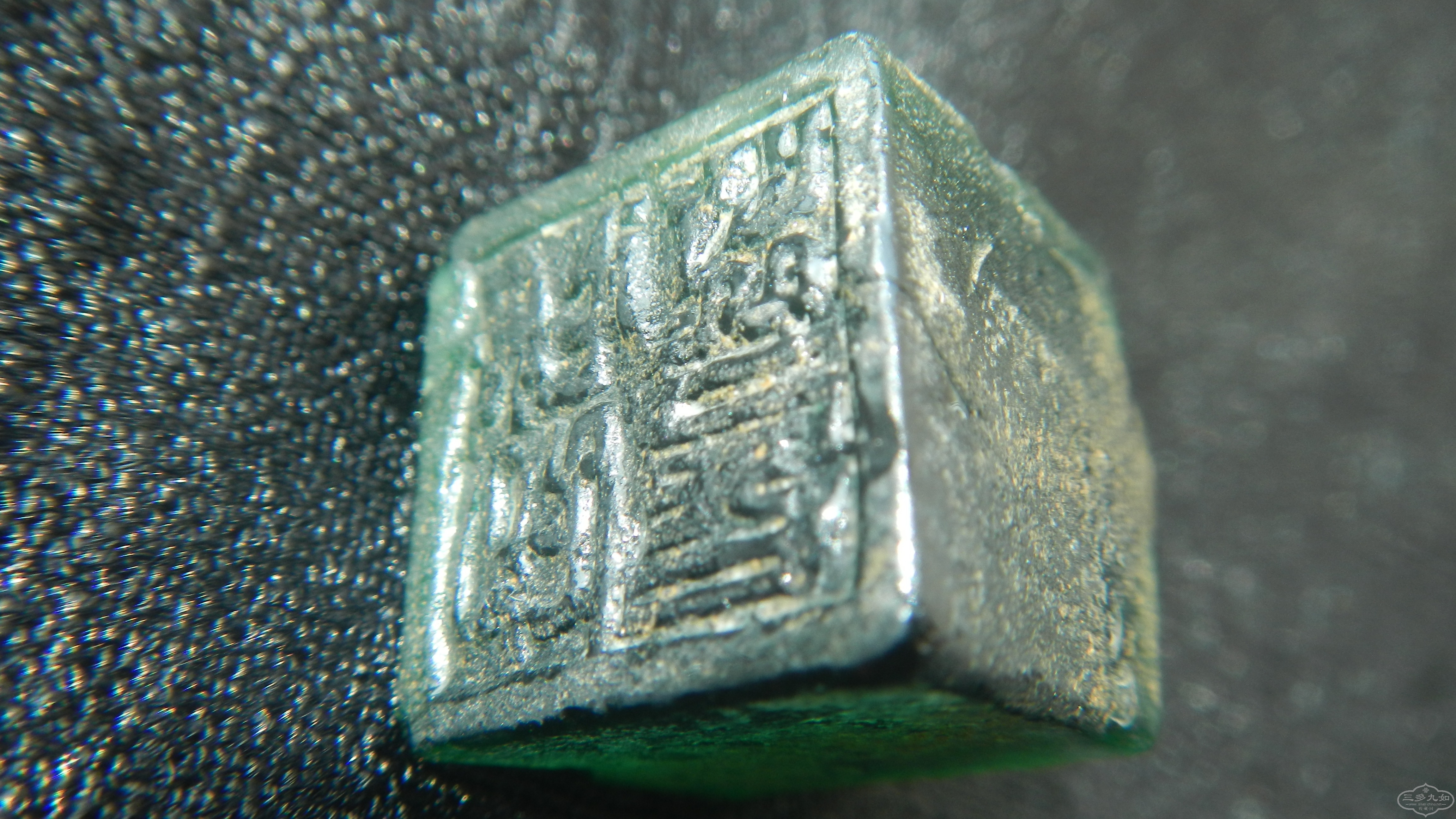 DSCN0197.JPG