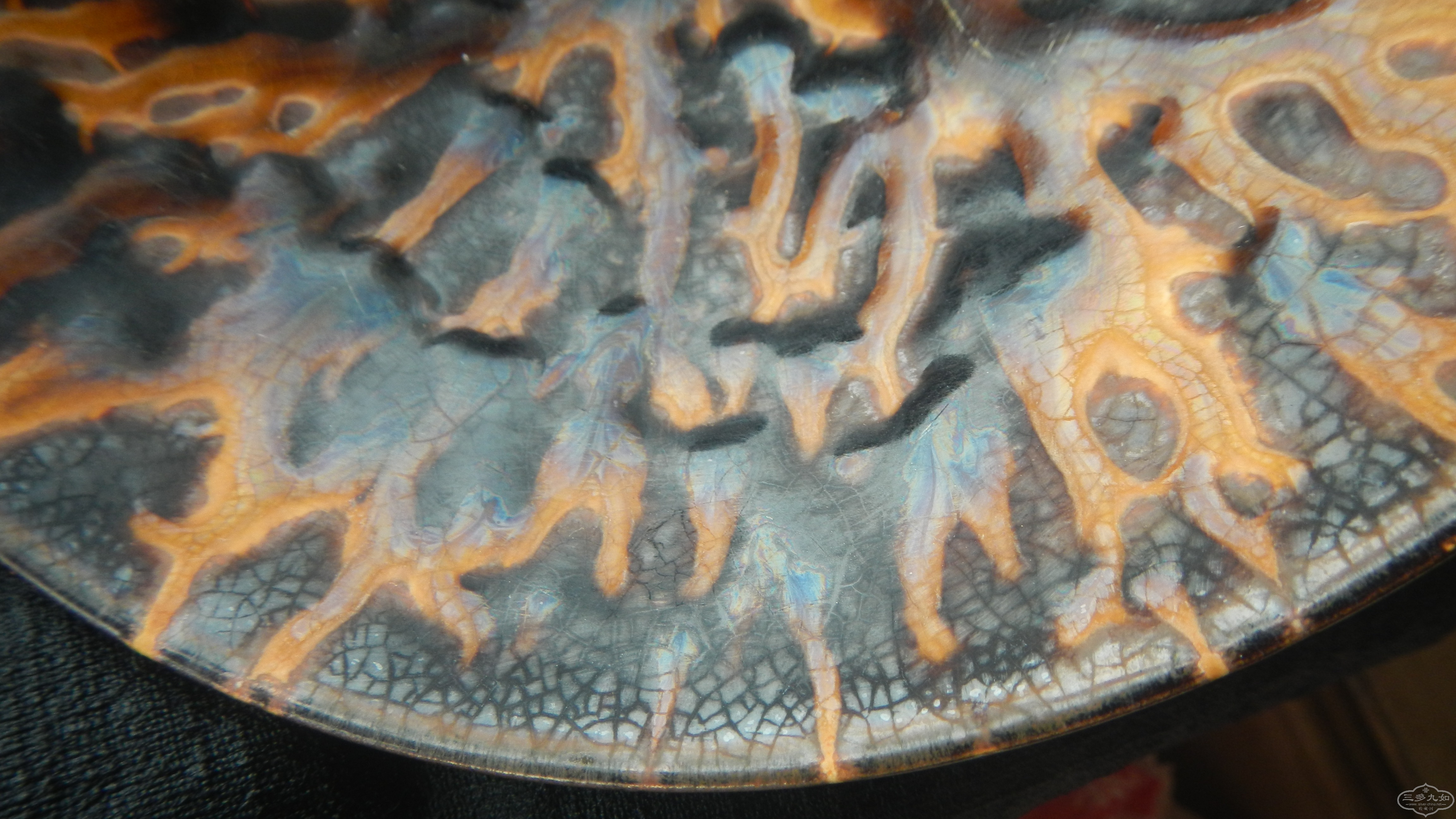 DSCN0391.JPG