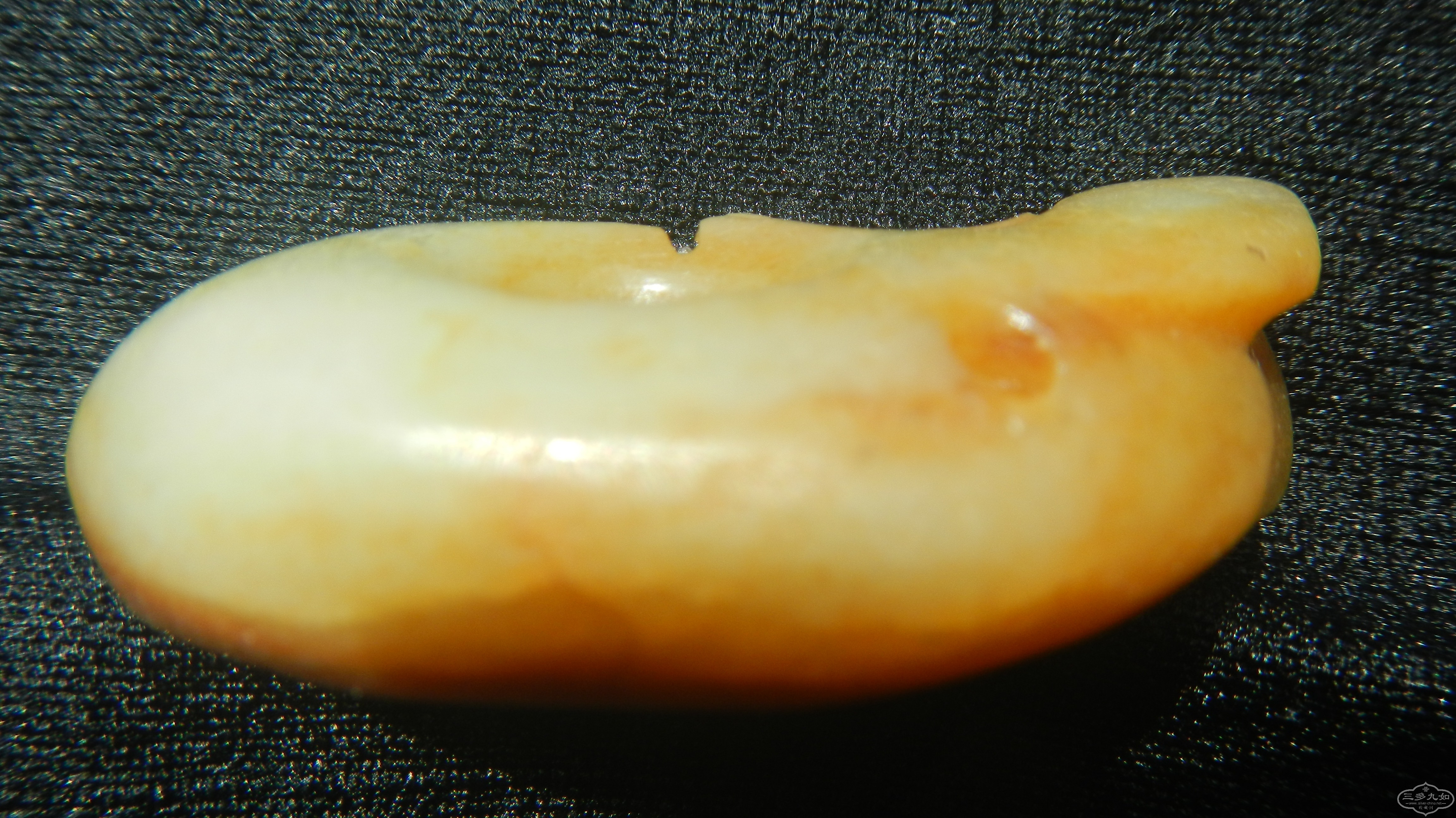 DSCN0363.JPG