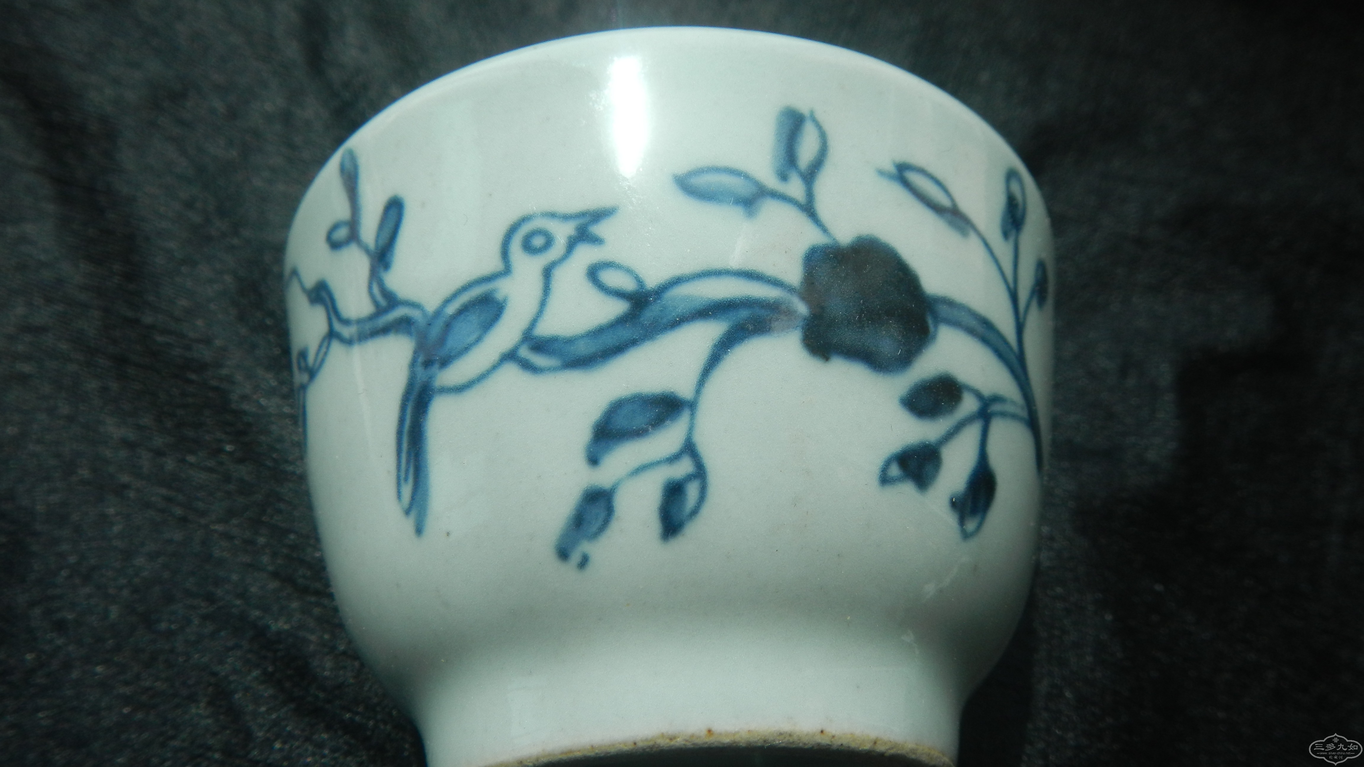 DSCN0655.JPG