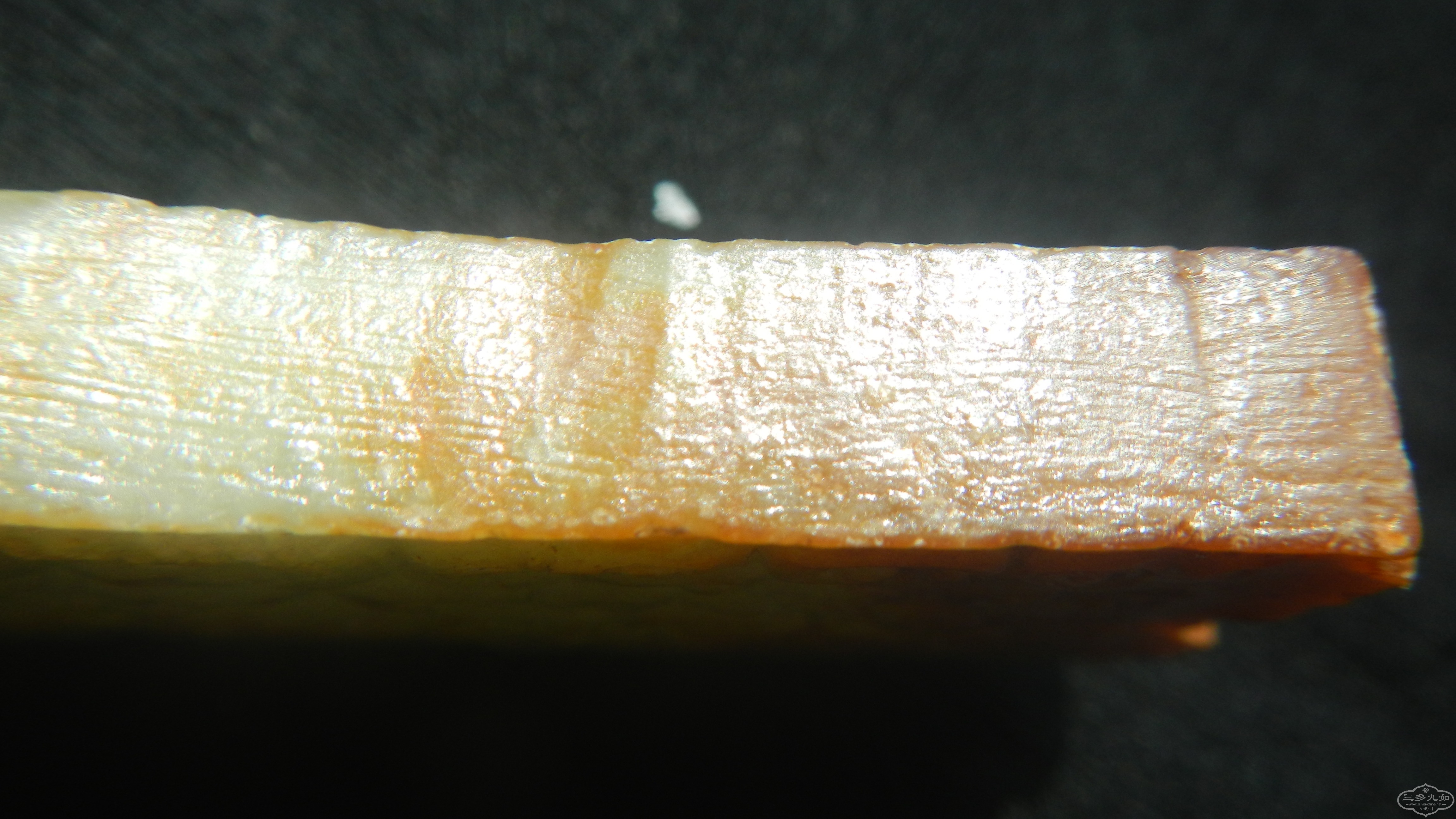 DSCN0730.JPG