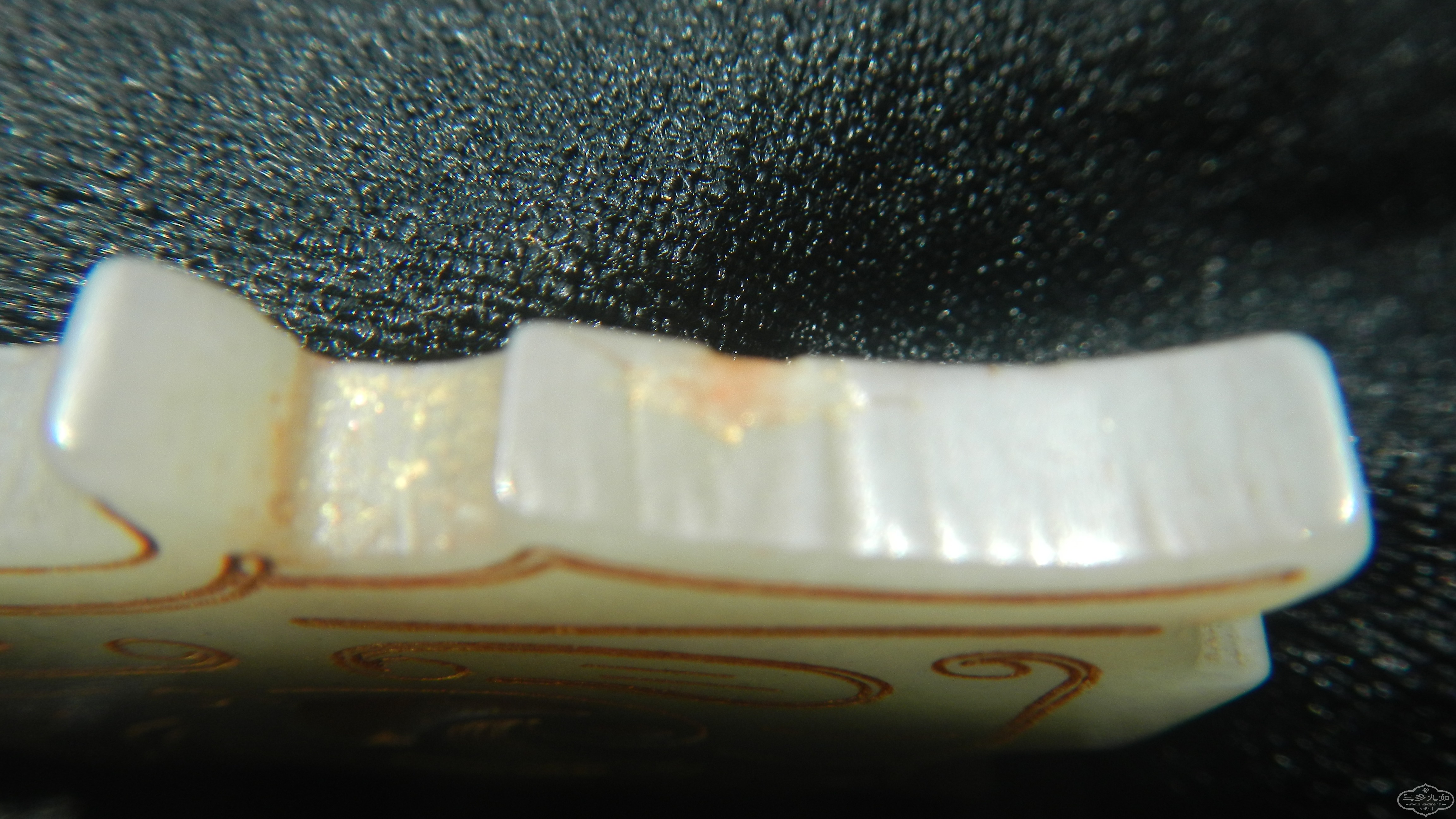 DSCN0523.JPG