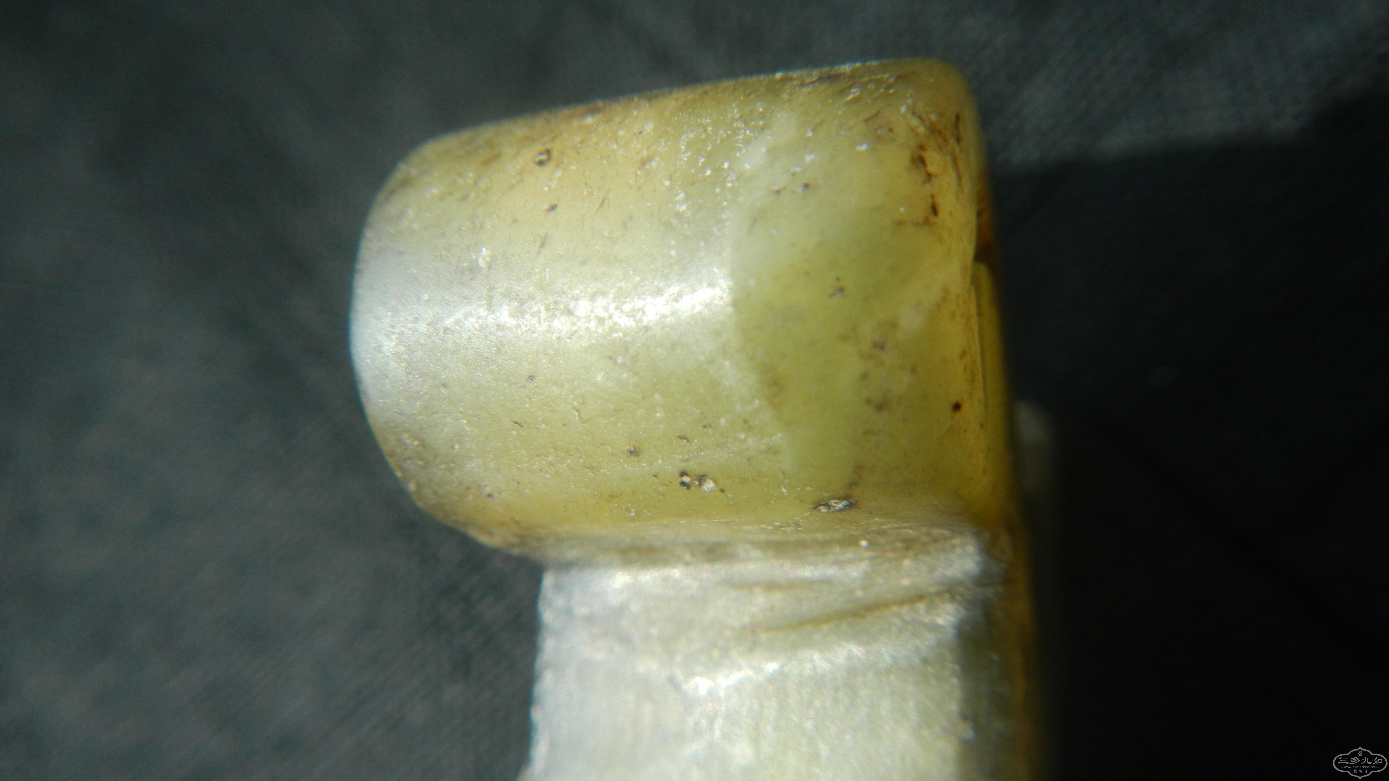 DSCN0825.JPG