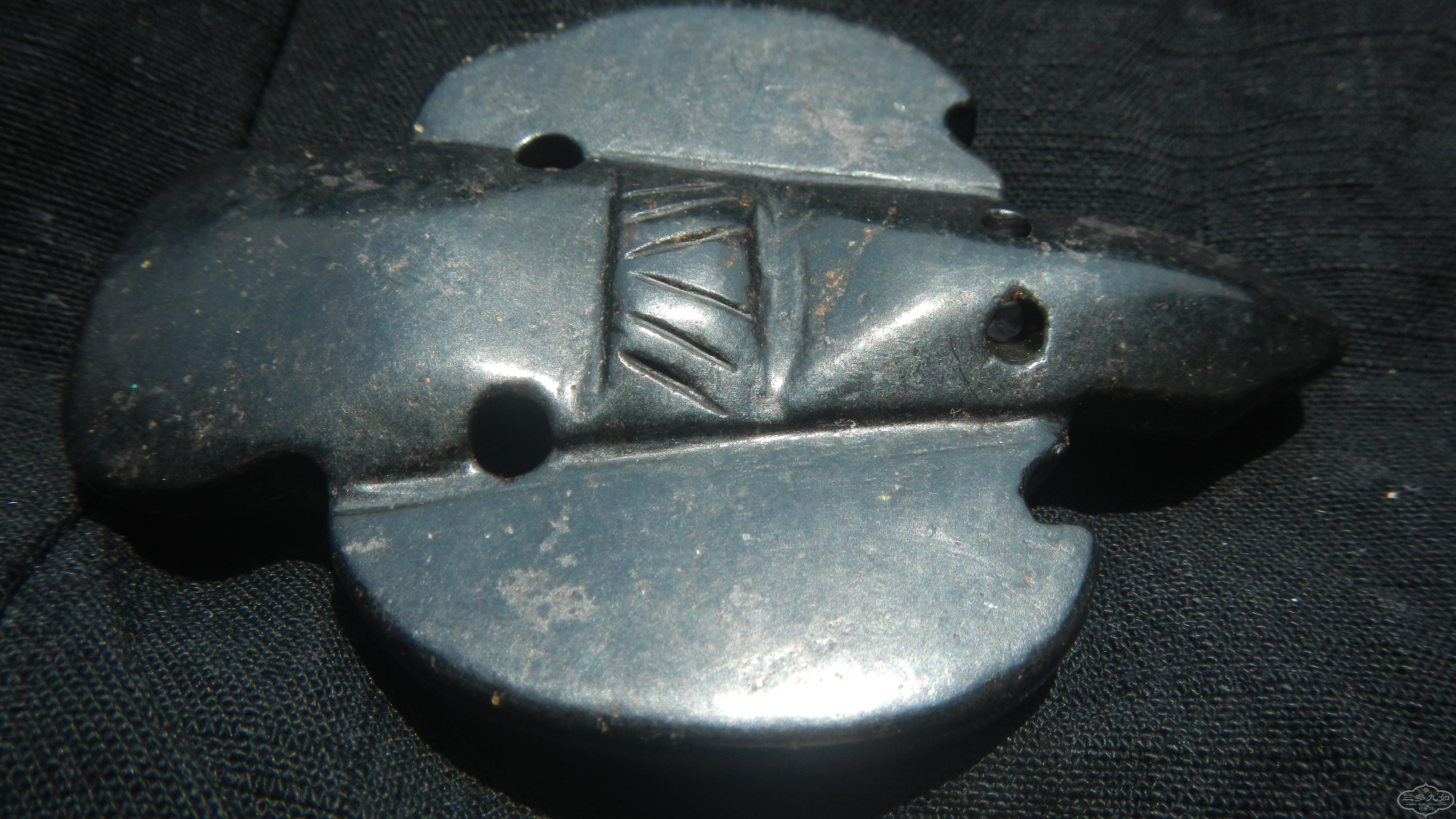 DSCN1464.JPG