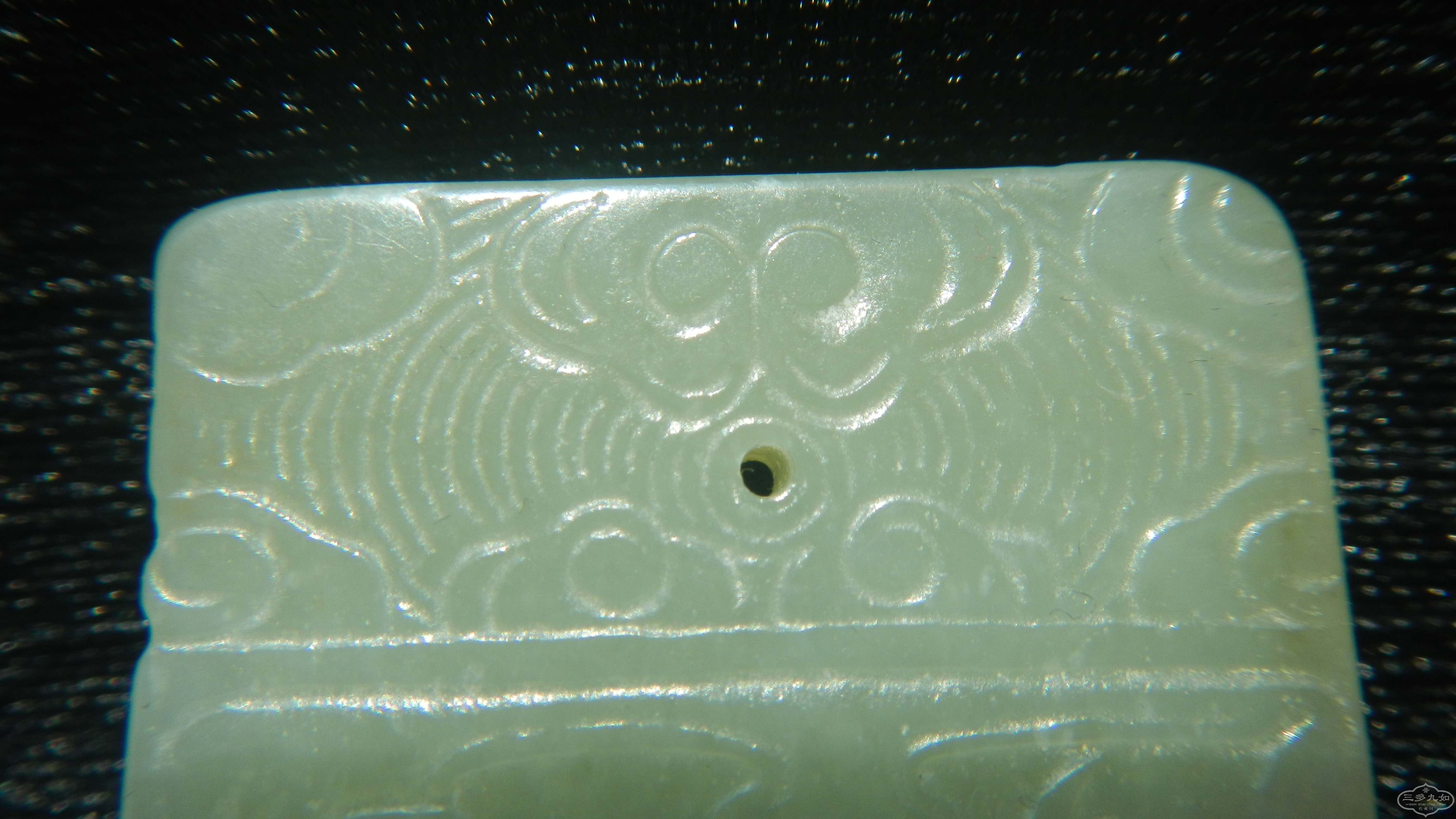 DSCN1557.JPG