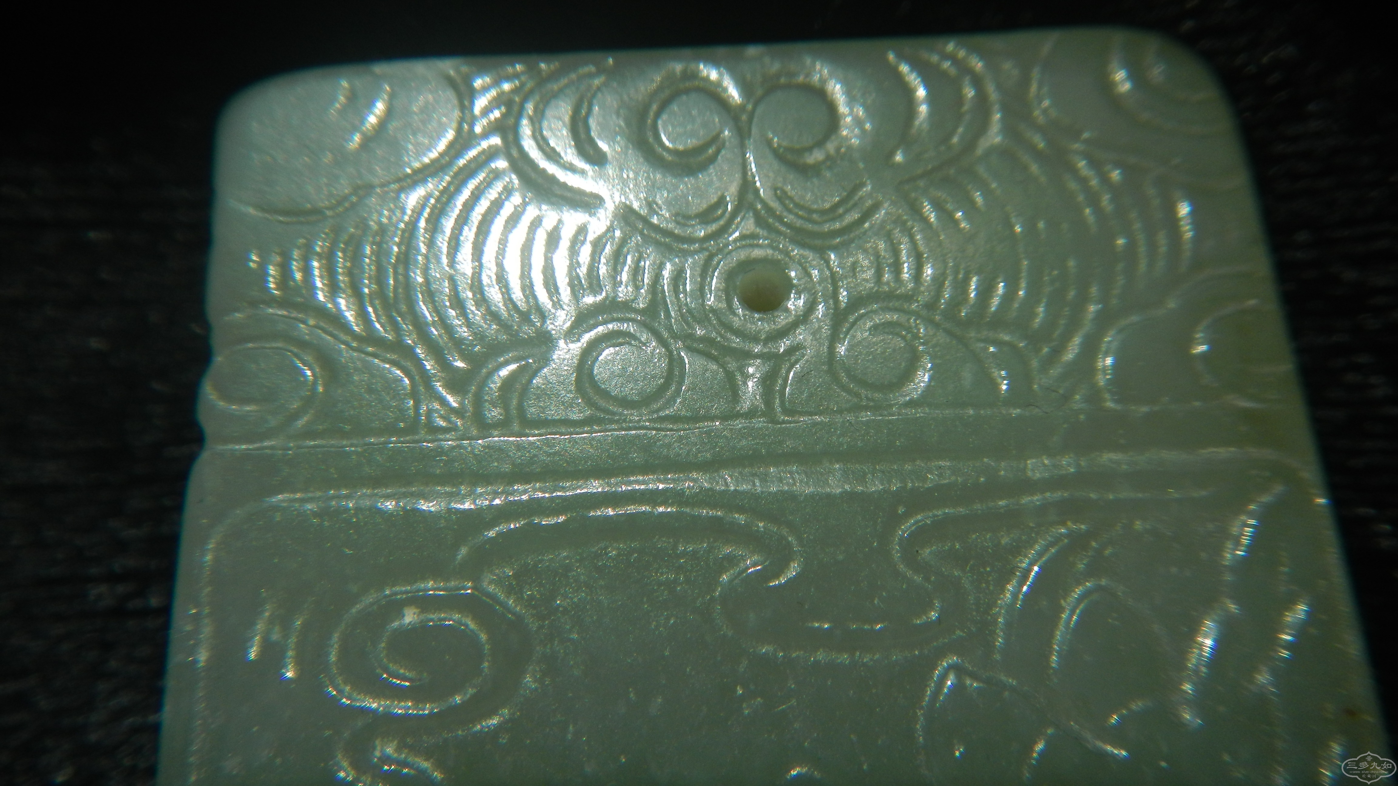 DSCN1563.JPG