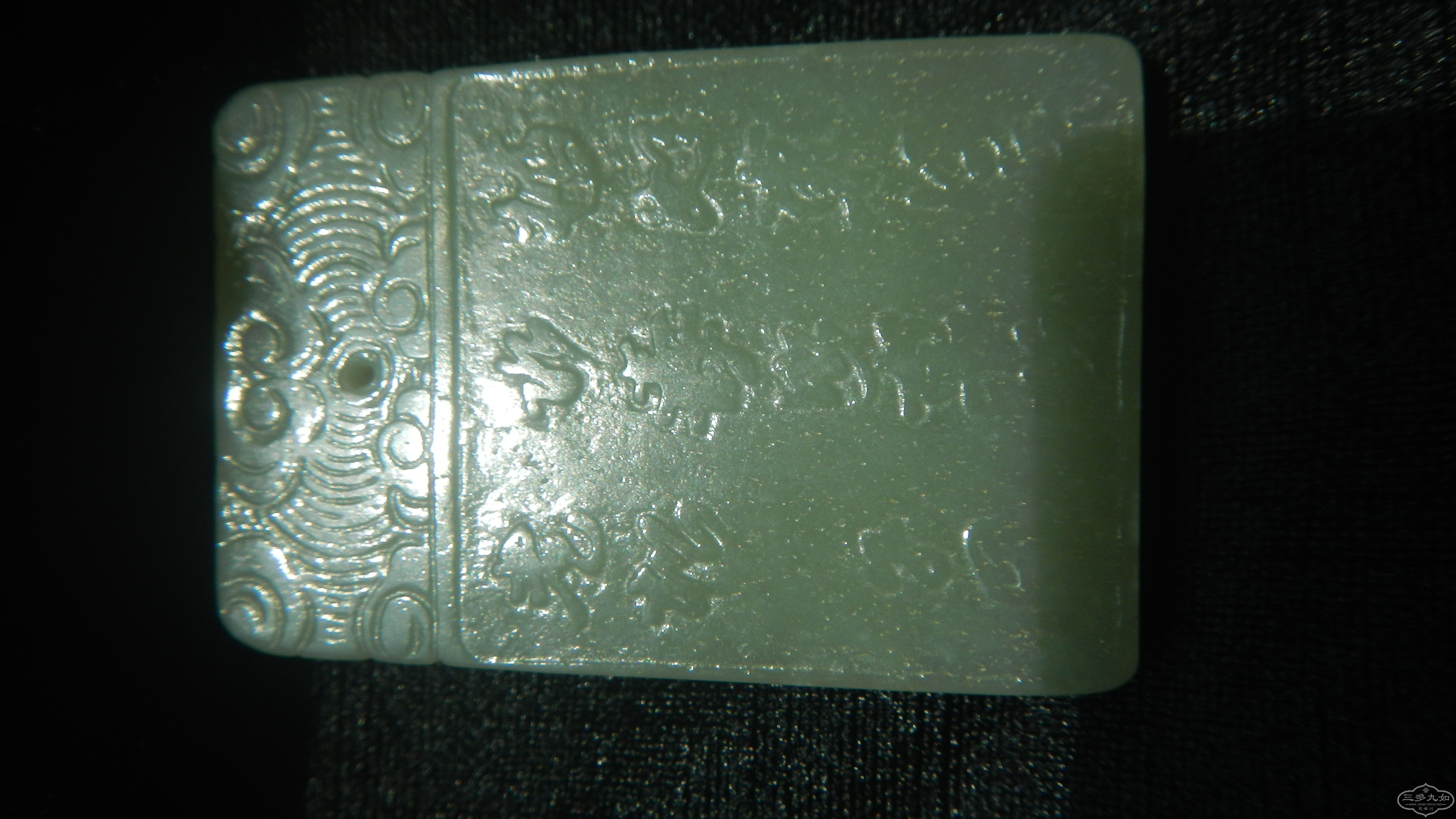 DSCN1565.JPG