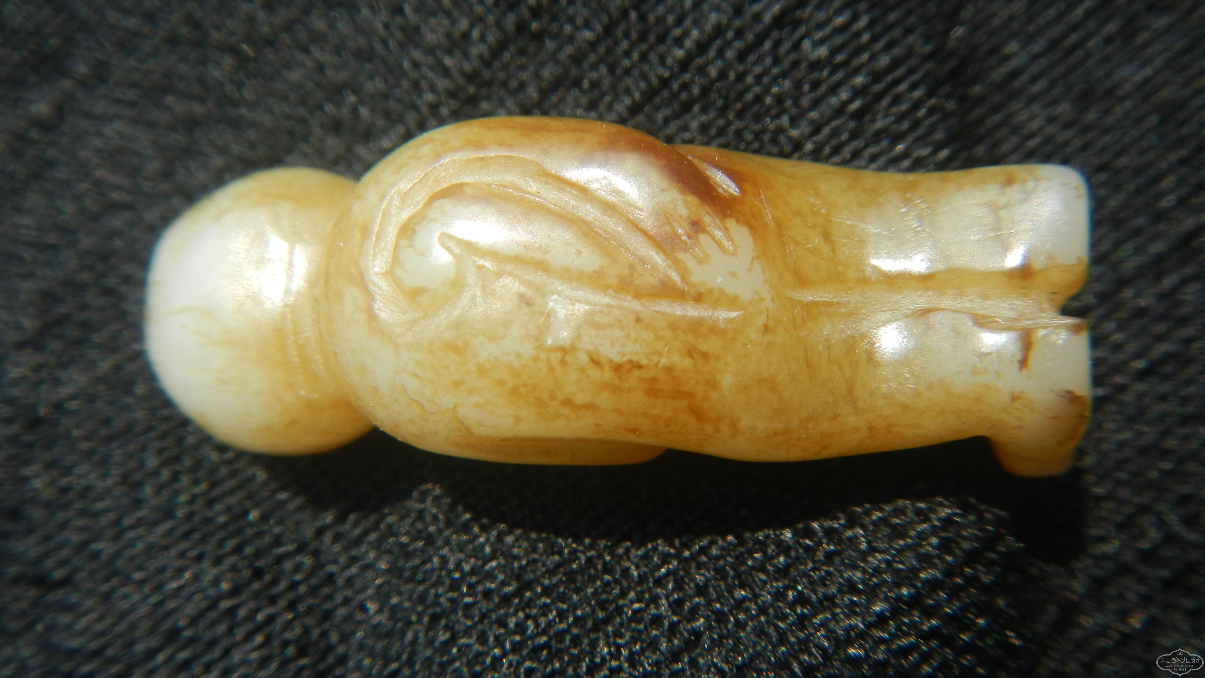 DSCN1712.JPG