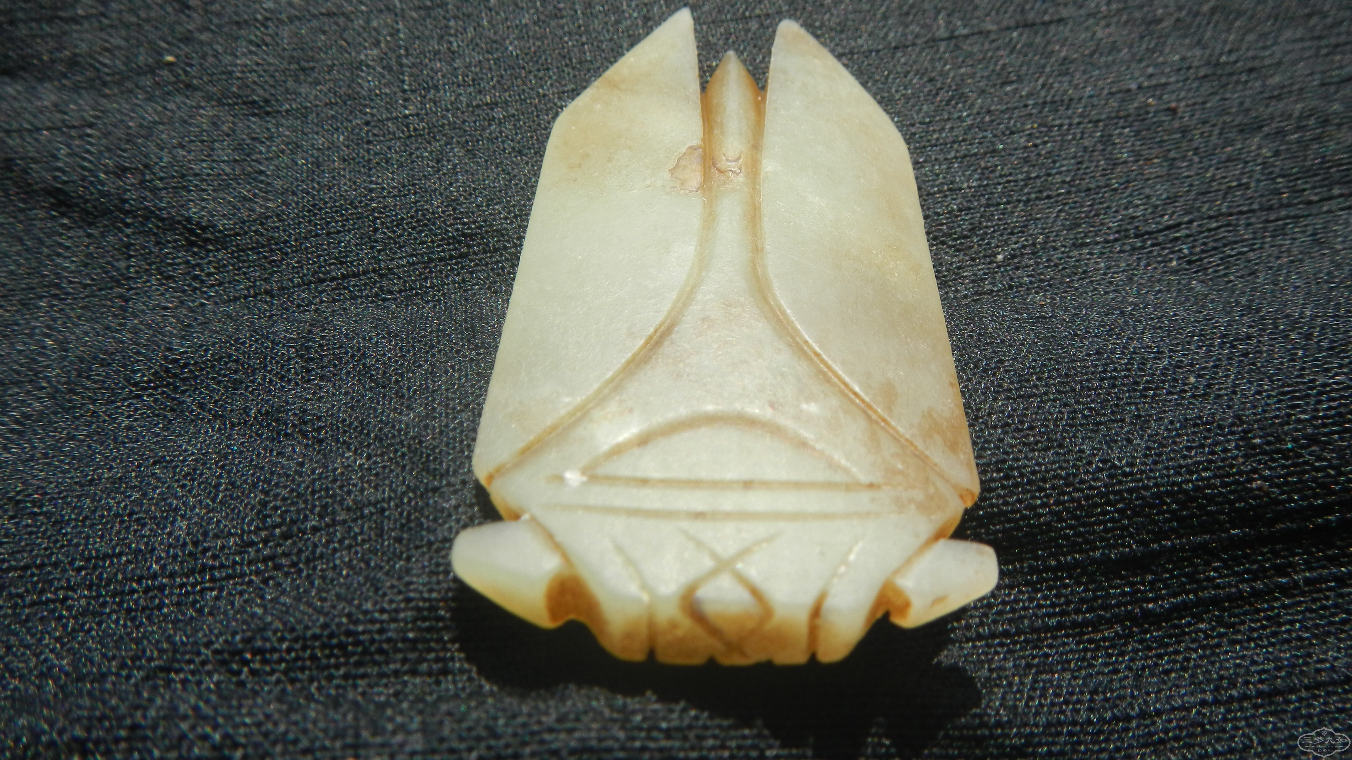 DSCN1423.JPG