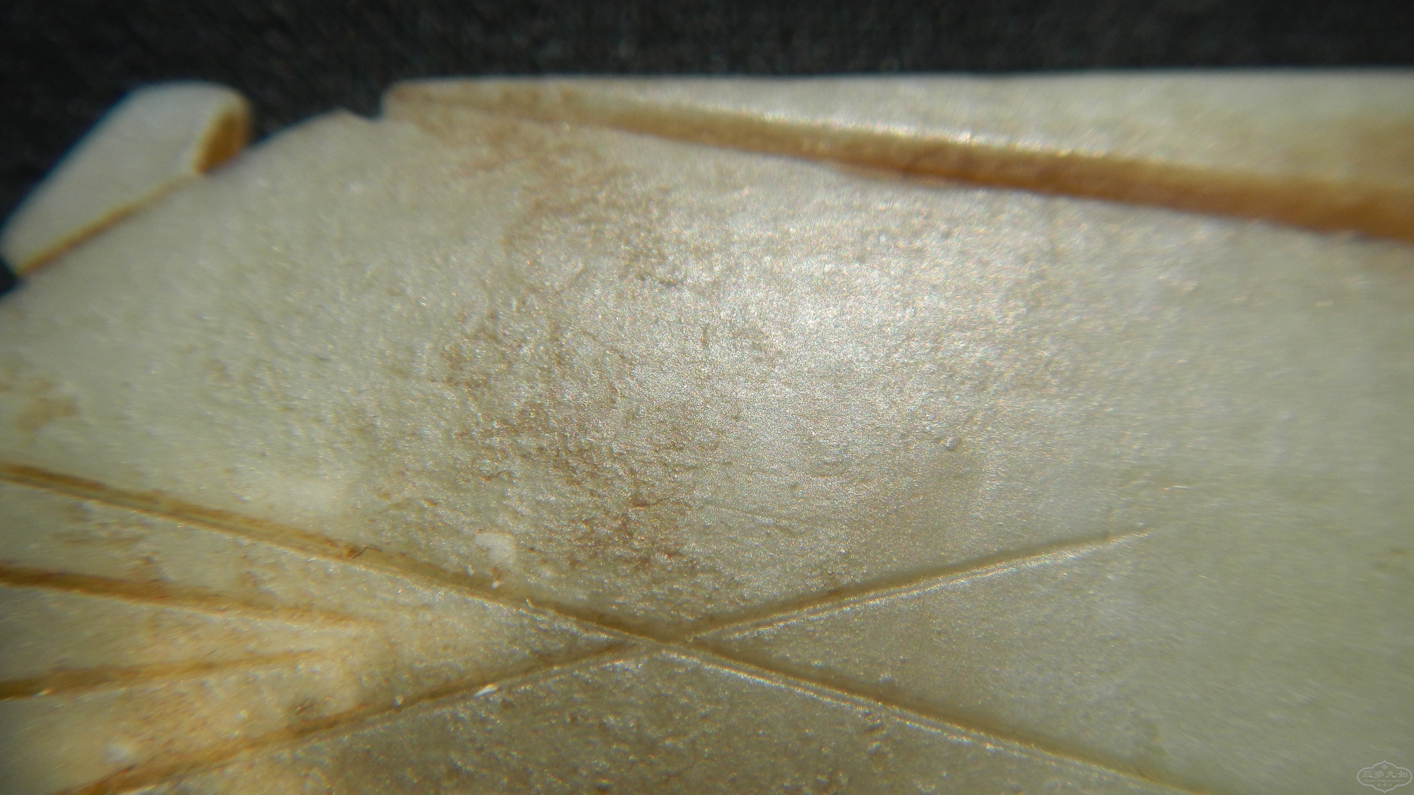 DSCN1435.JPG